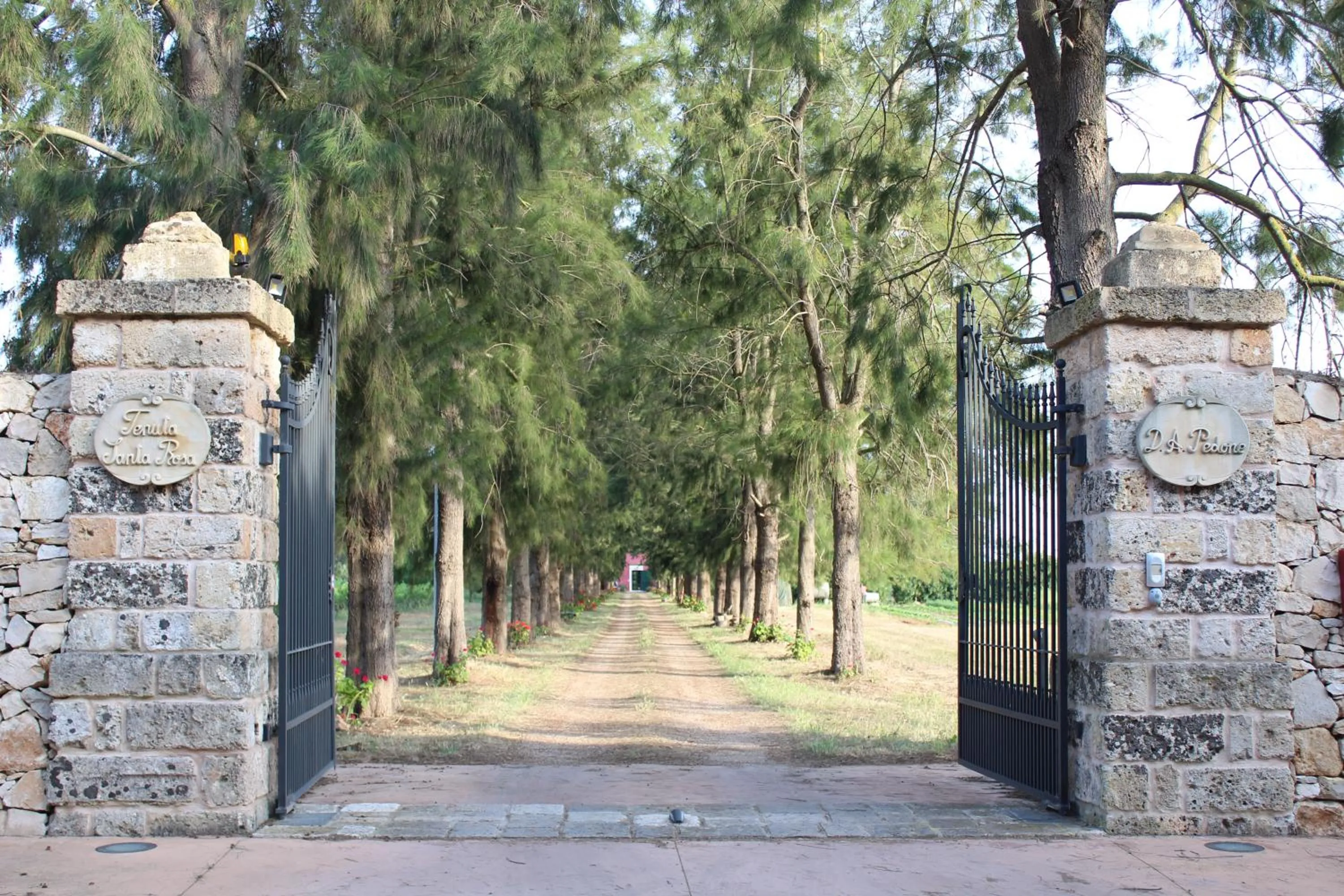 Tenuta Santa Rosa