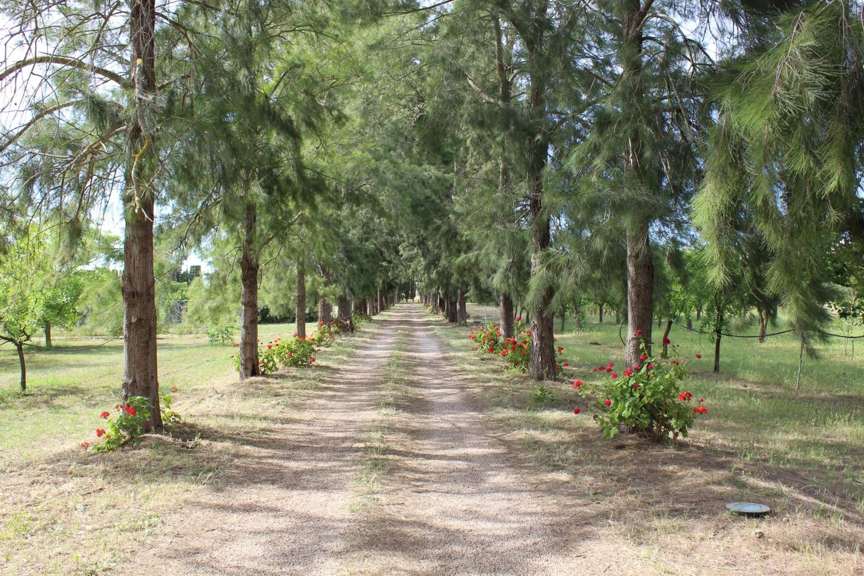 Tenuta Santa Rosa
