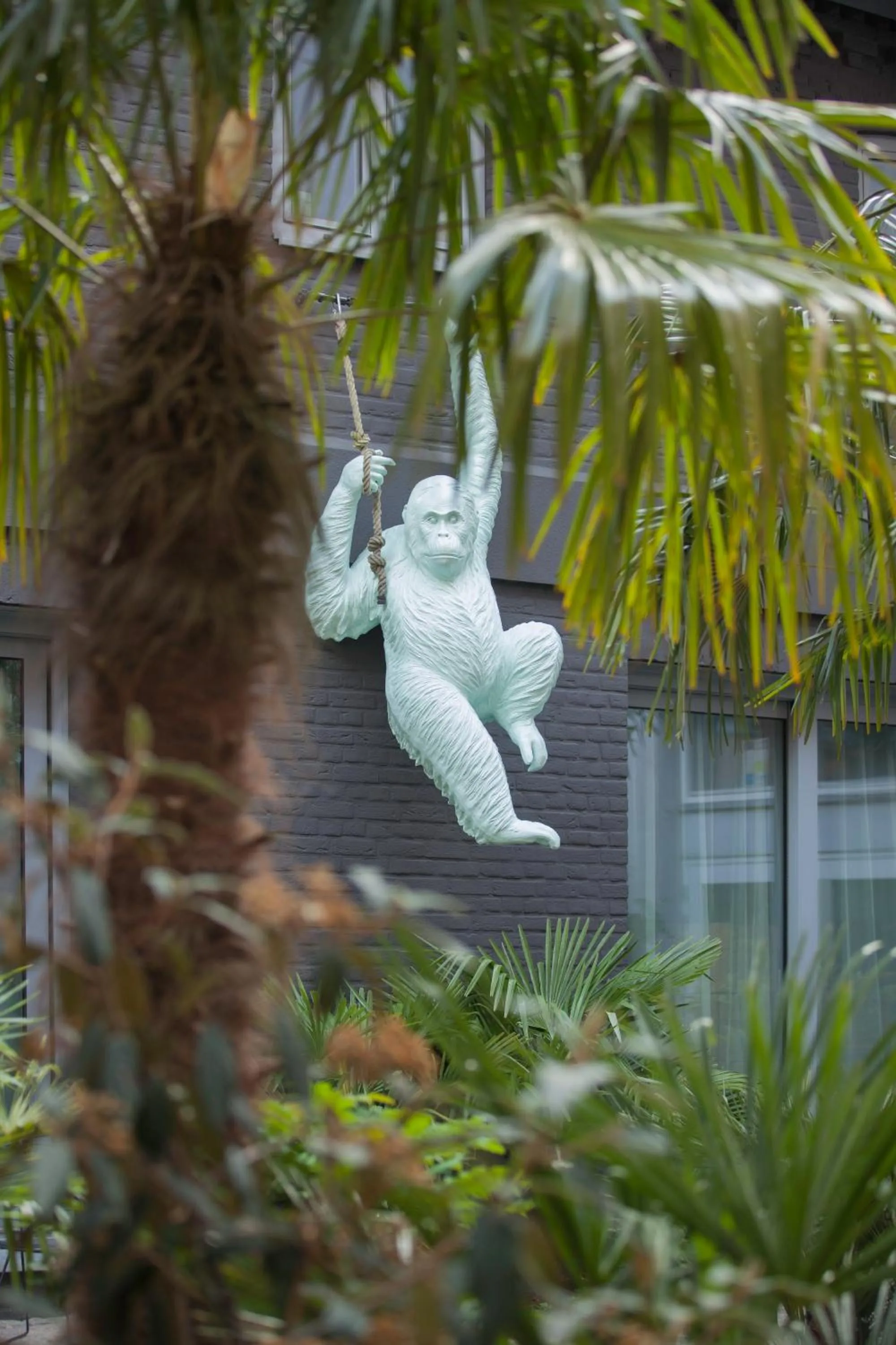 Garden in The Dutch Maastricht