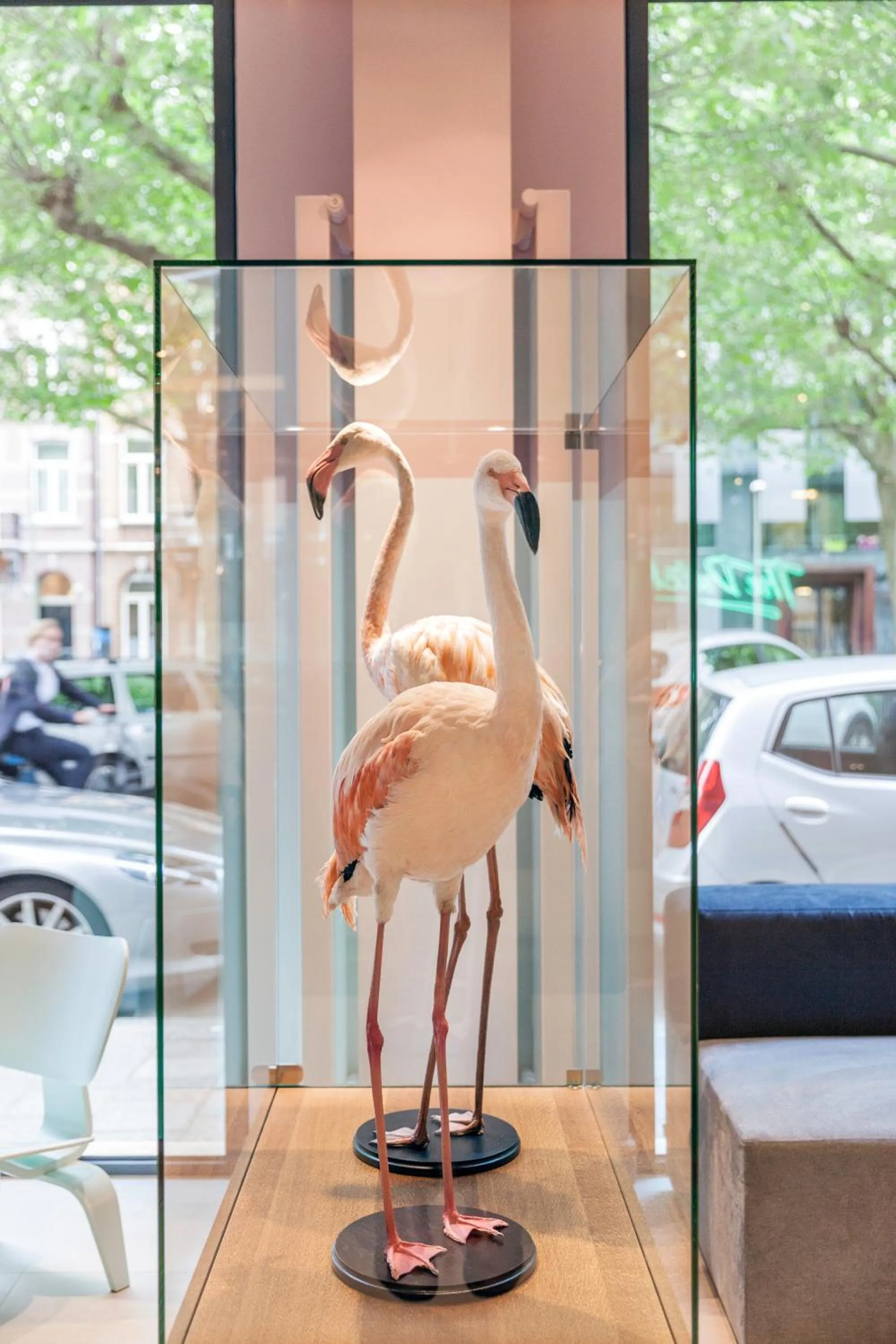 Decorative detail in The Dutch Maastricht