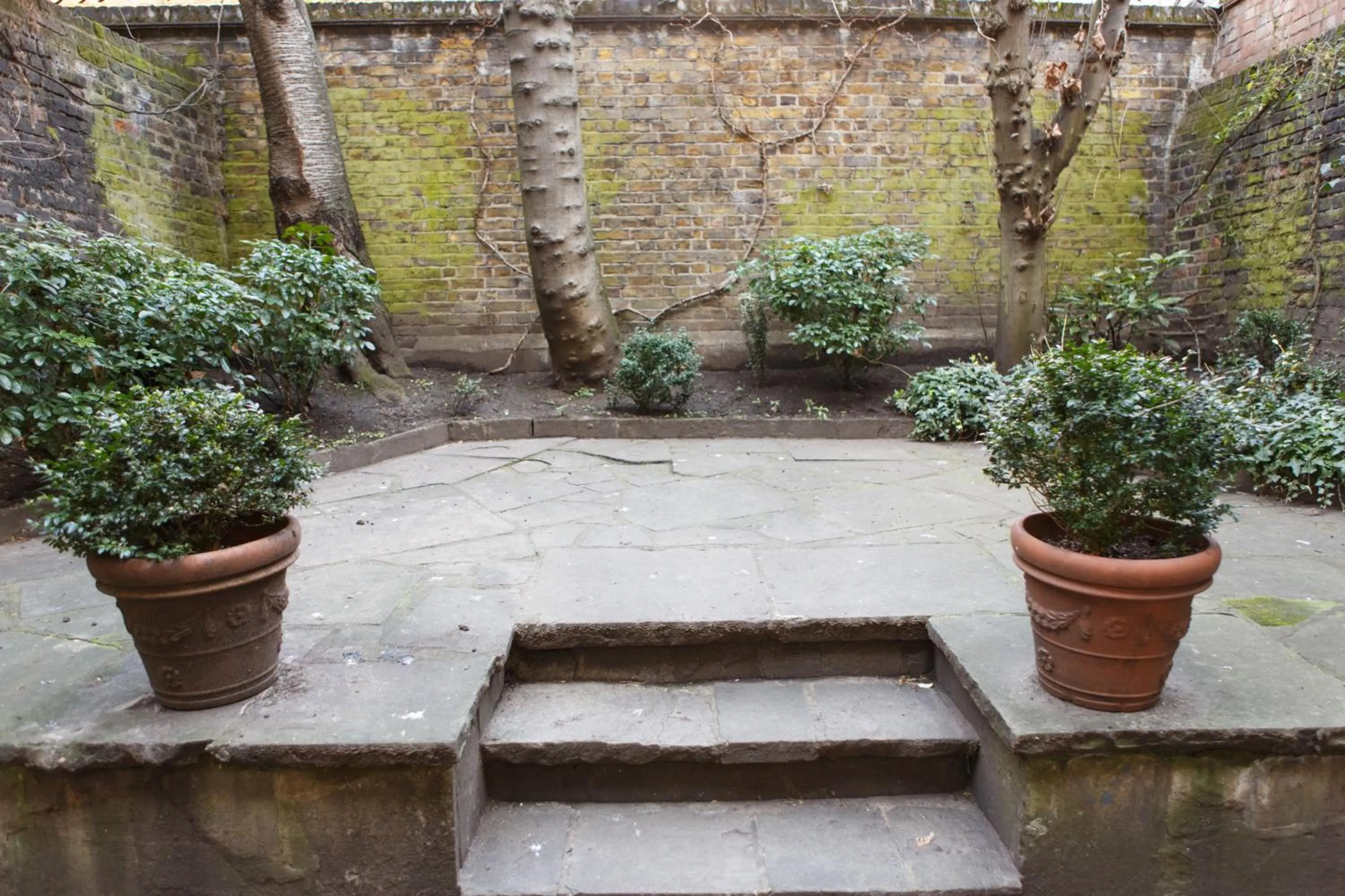 Patio in Morgan Hotel
