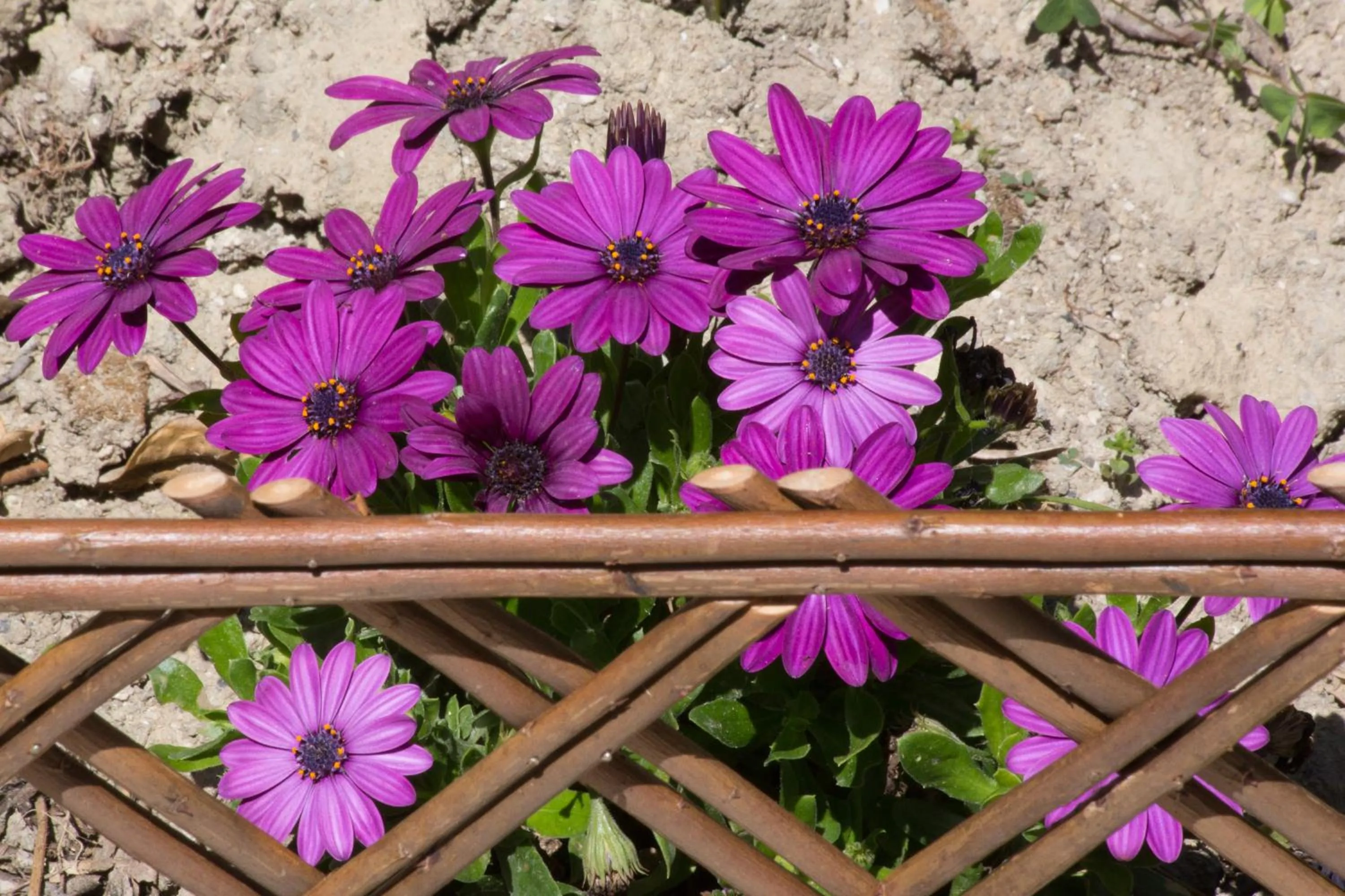 Garden in Karia Holiday Home