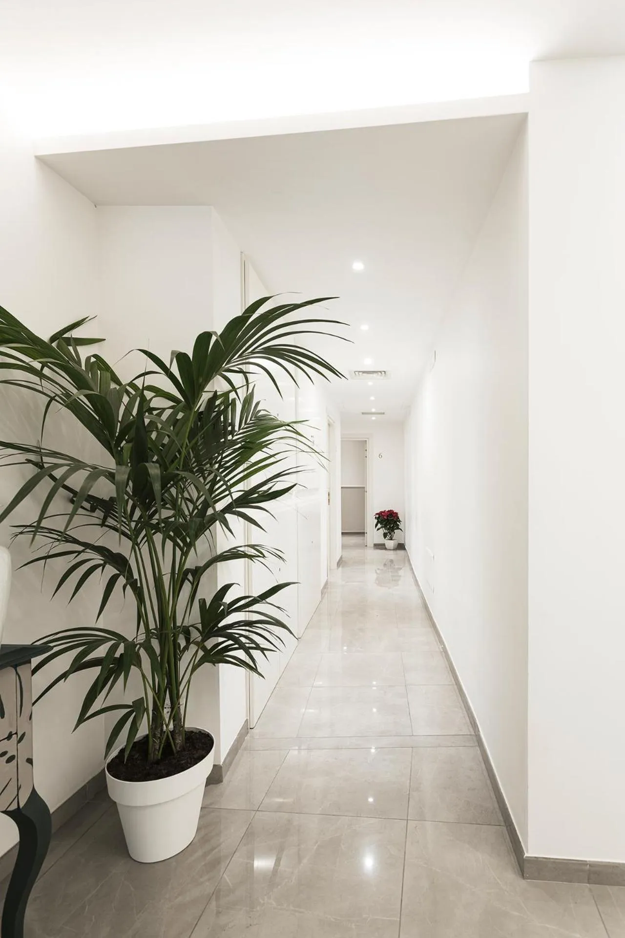 Vaticano Luxury Guest House