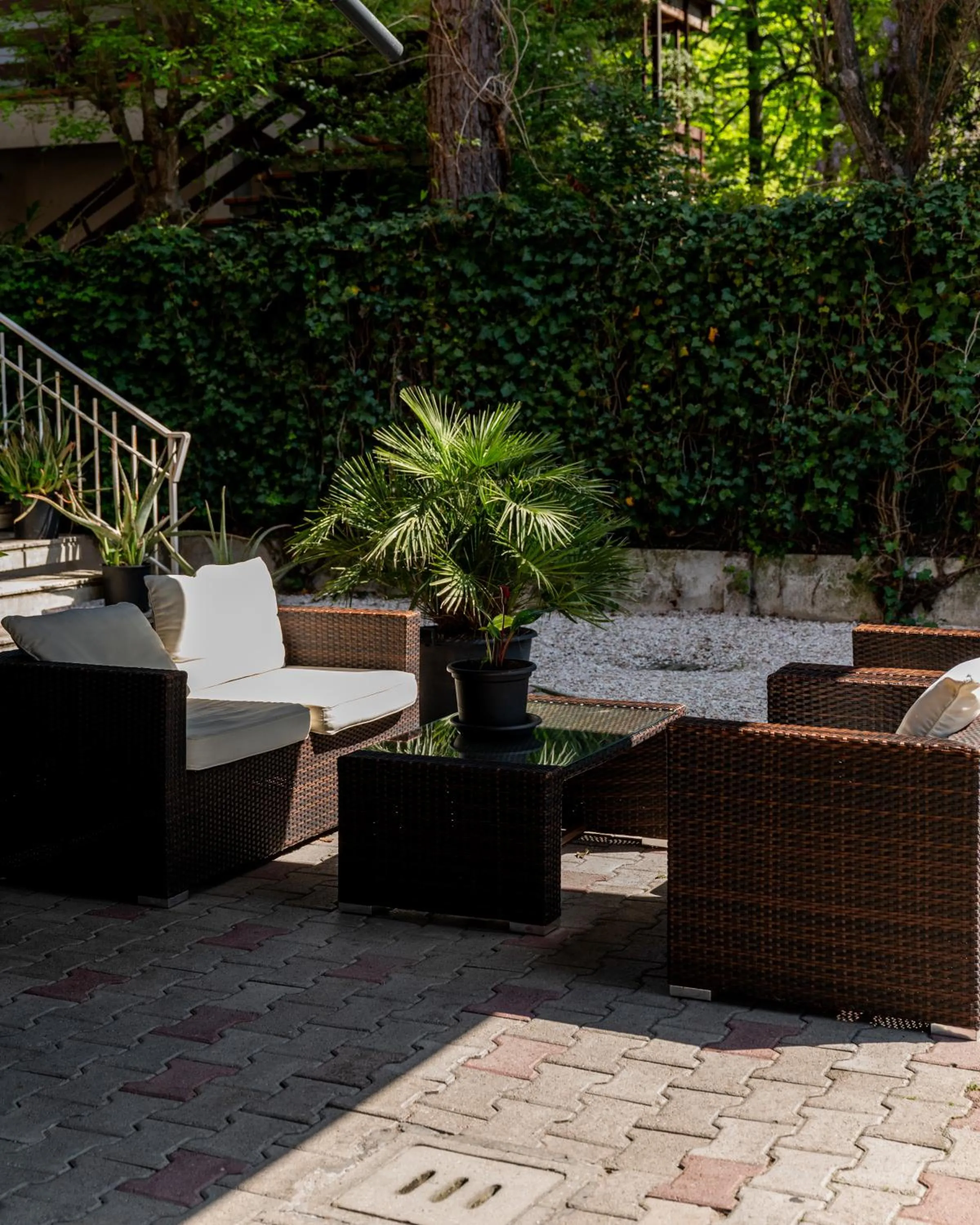 Garden in Hotel Chery