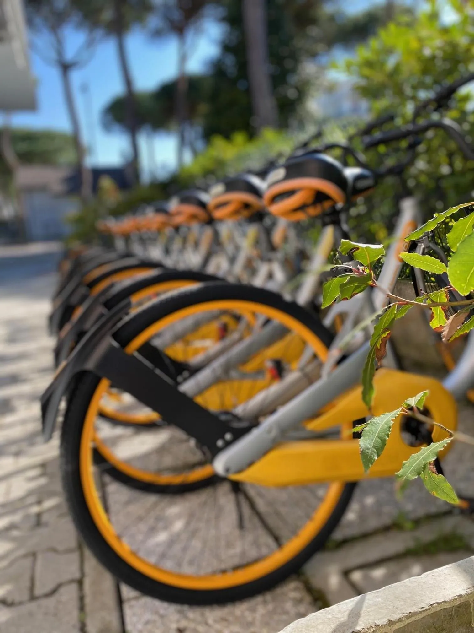 Cycling in Hotel Chery