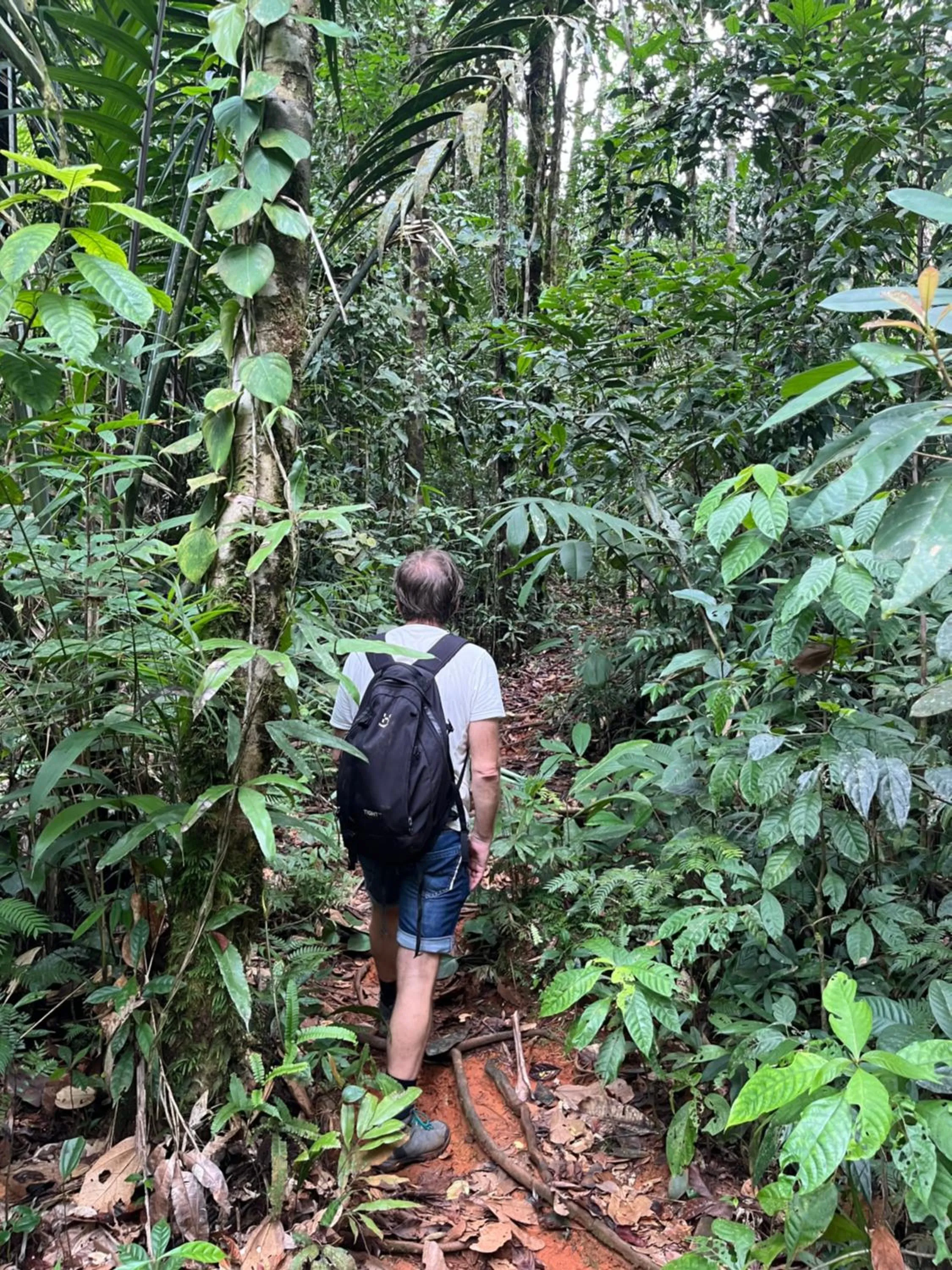 Day in Posada Turística Rocas De Cabo Marzo