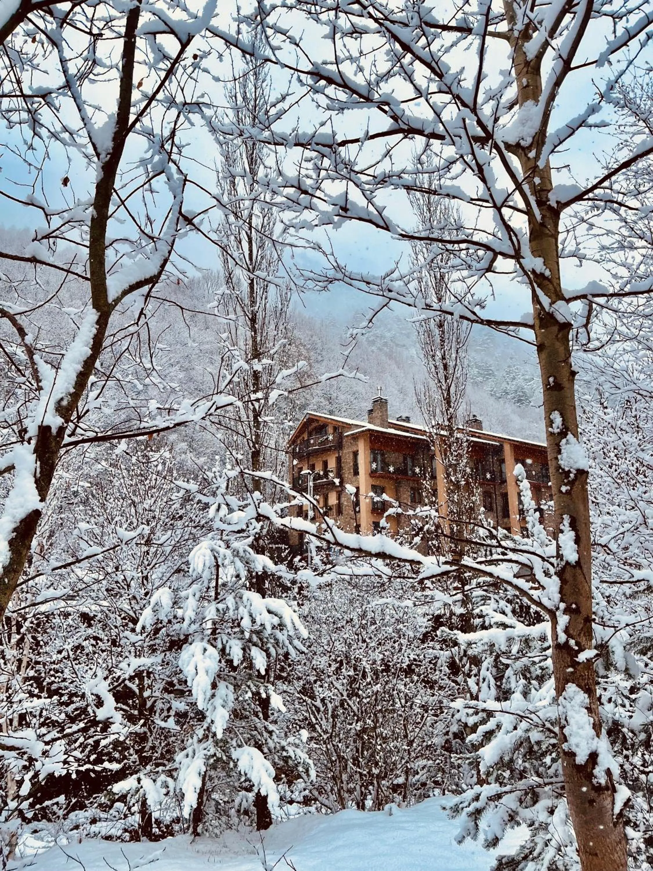 Apartaments La Neu-Mountain Lodges & Restaurant