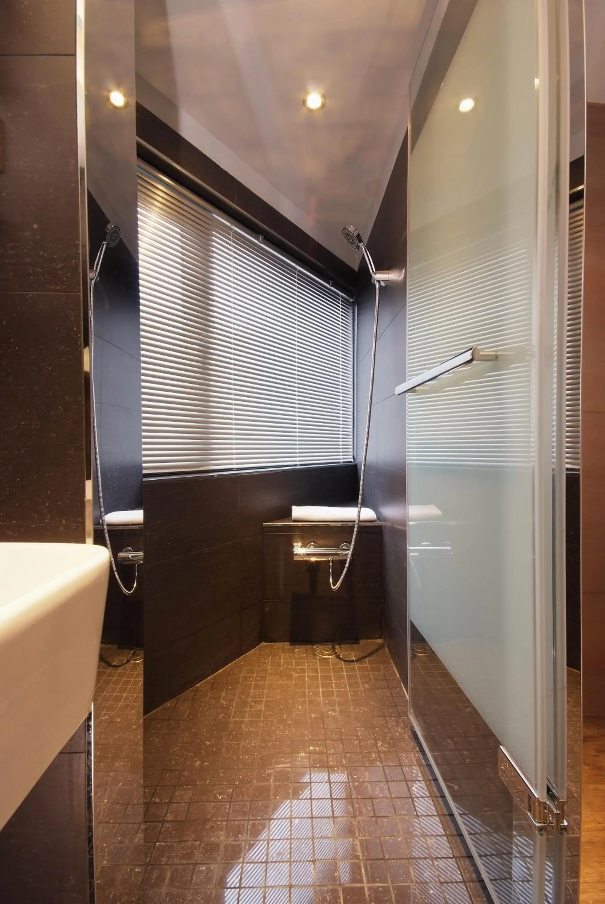 Shower in Guest Hotel