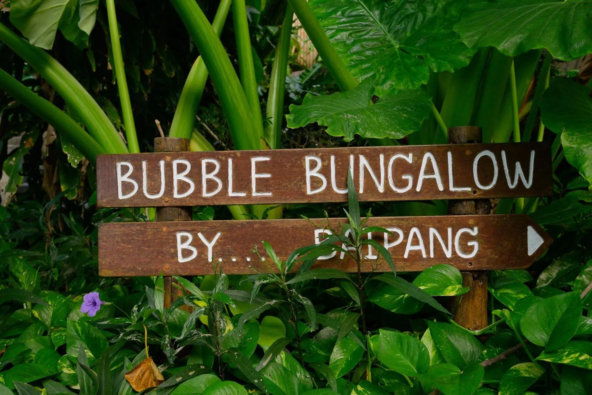 Property logo or sign in Bubble Bungalow