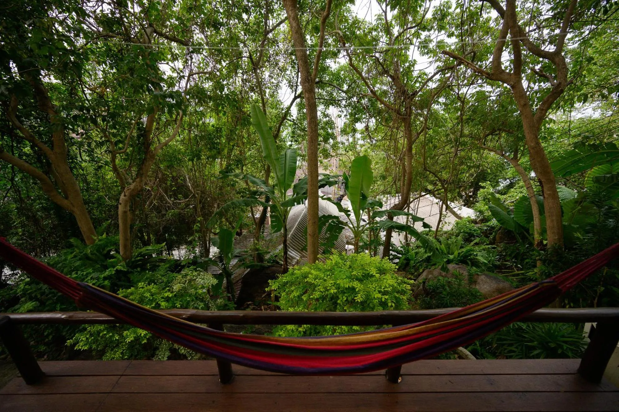 Natural landscape in Bubble Bungalow