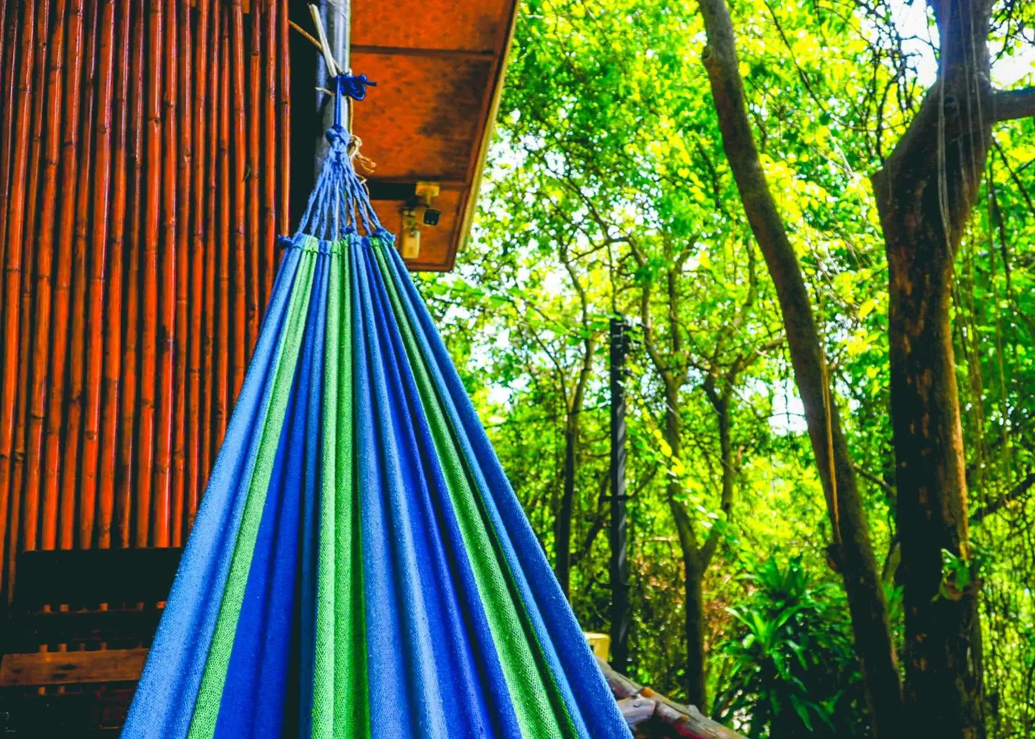 cot in Bubble Bungalow cot in Bubble Bungalow