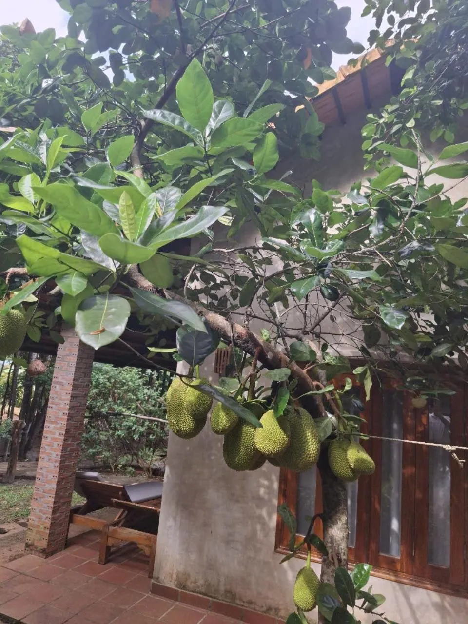 Garden in Valley Village Phu Quoc