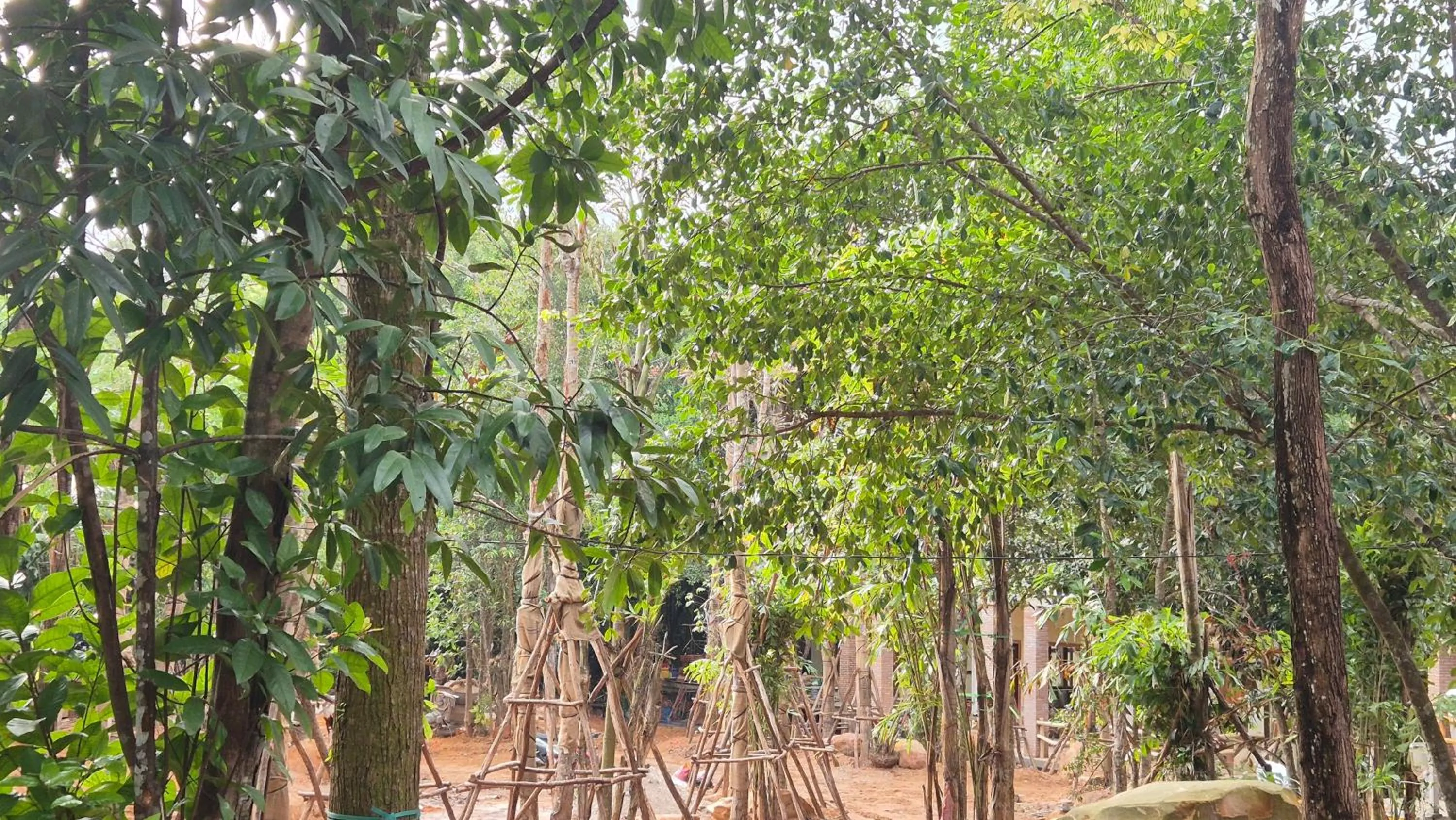 Natural landscape in Valley Village Resort Phu Quoc