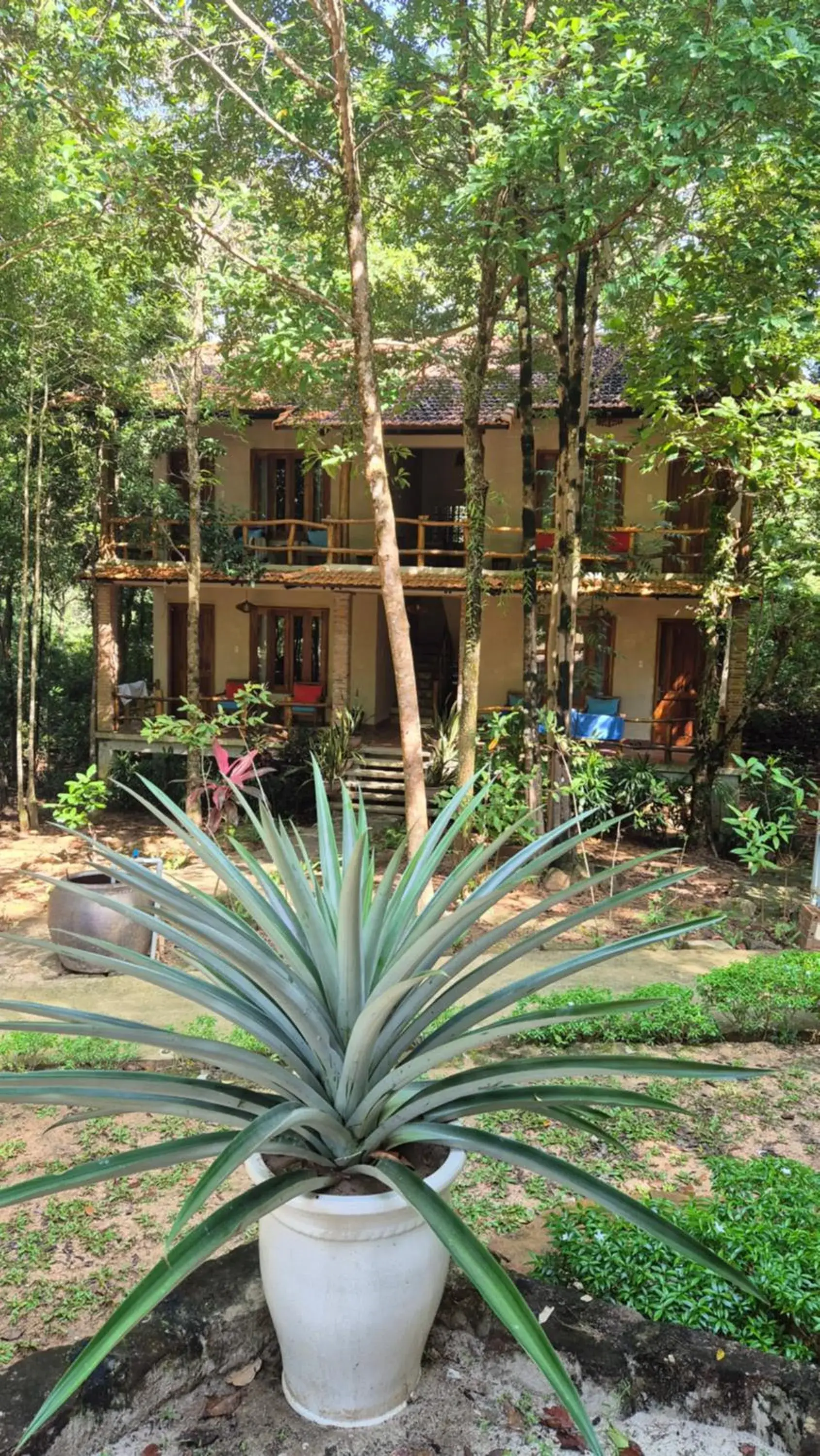 Superior Pool View Room in Valley Village Phu Quoc Superior Pool View Room in Valley Village Phu Quoc