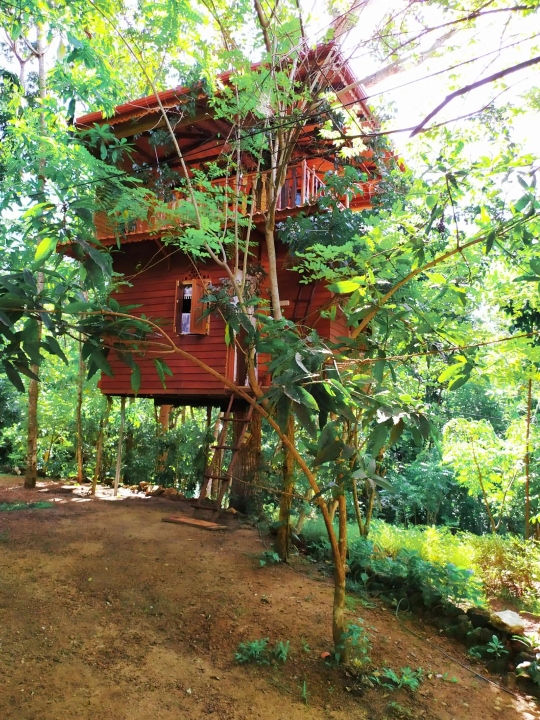 Tree House-Midigama