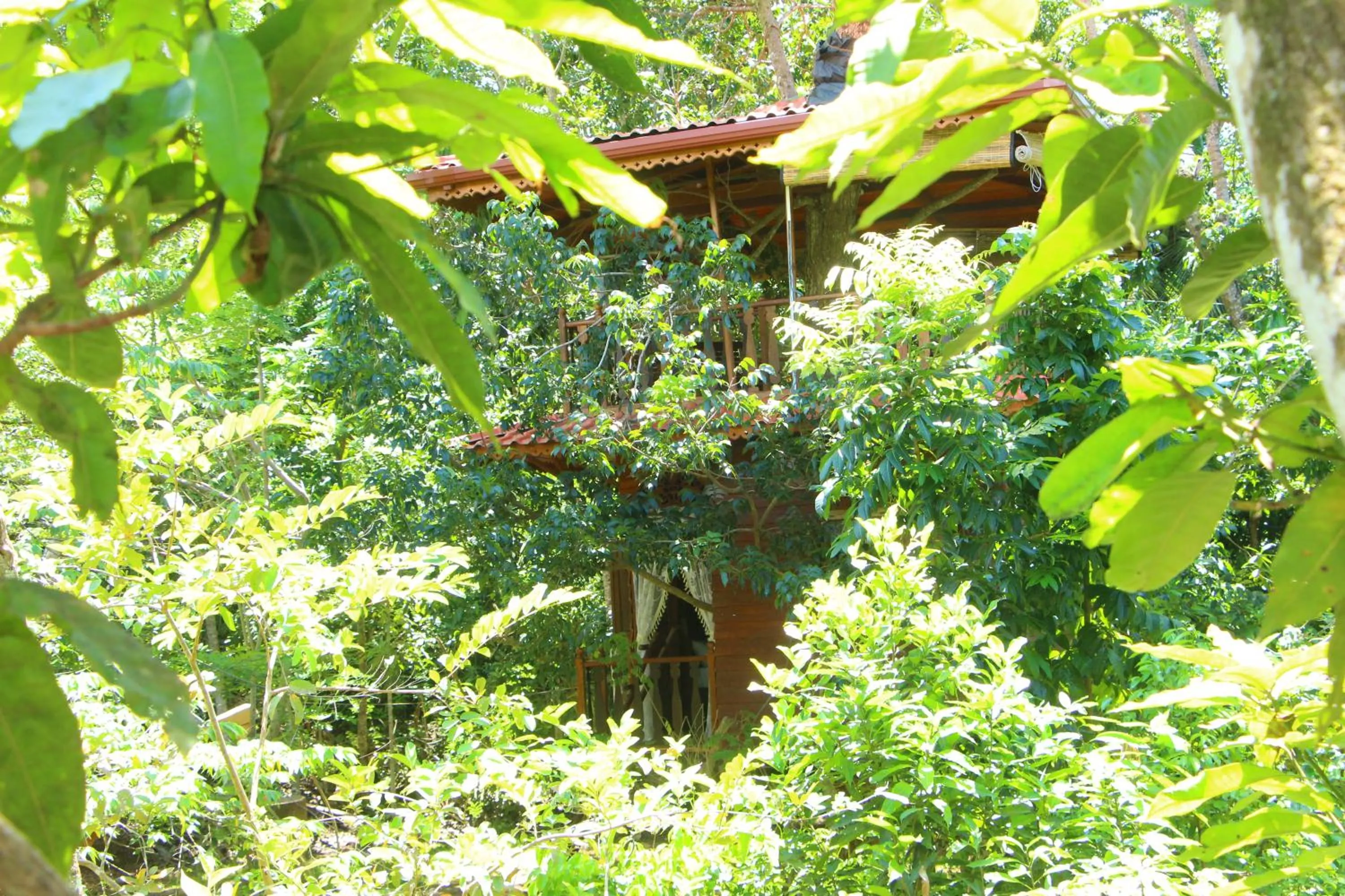 Superior Chalet in Tree House-Midigama