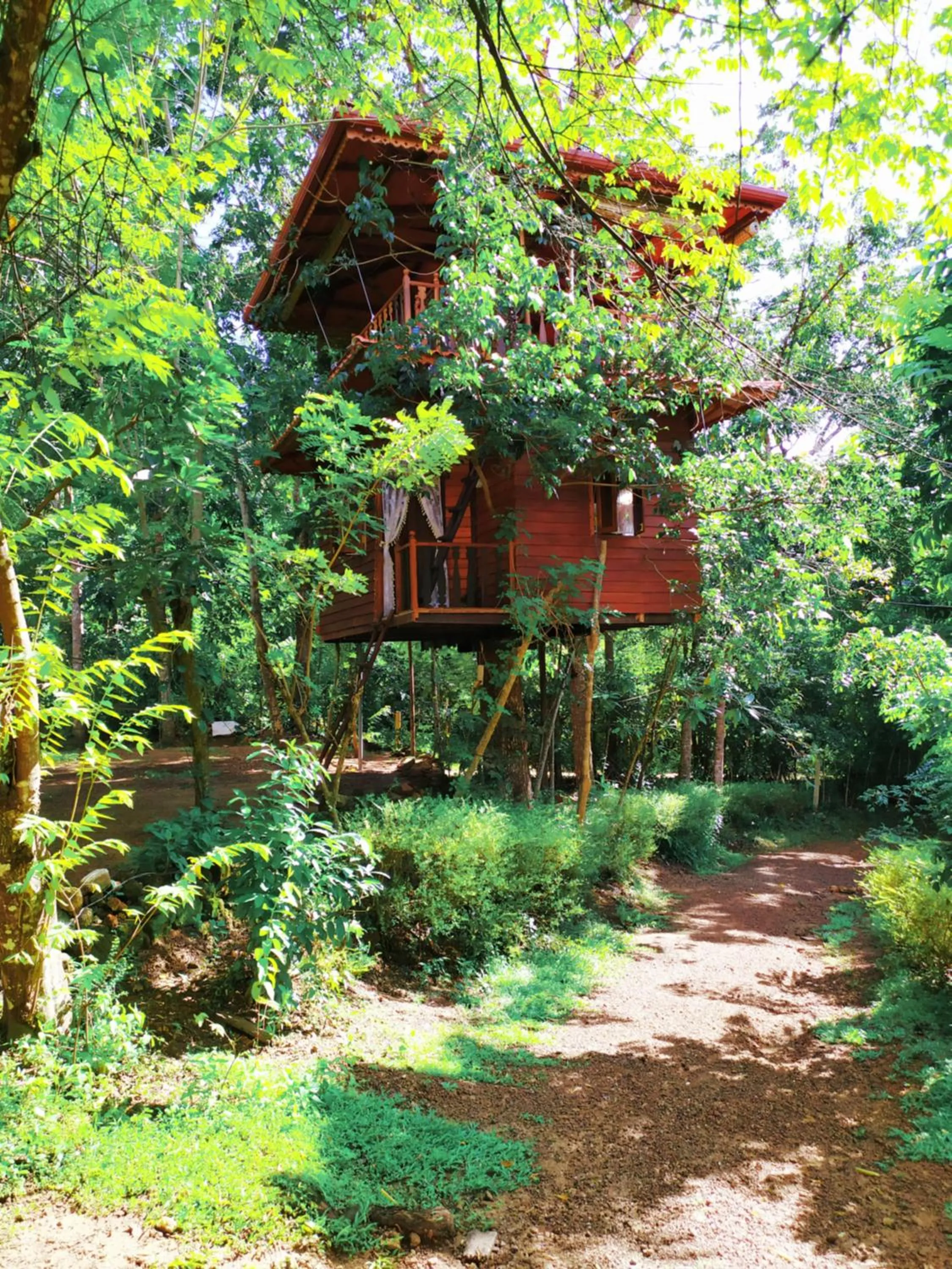 Tree House-Midigama