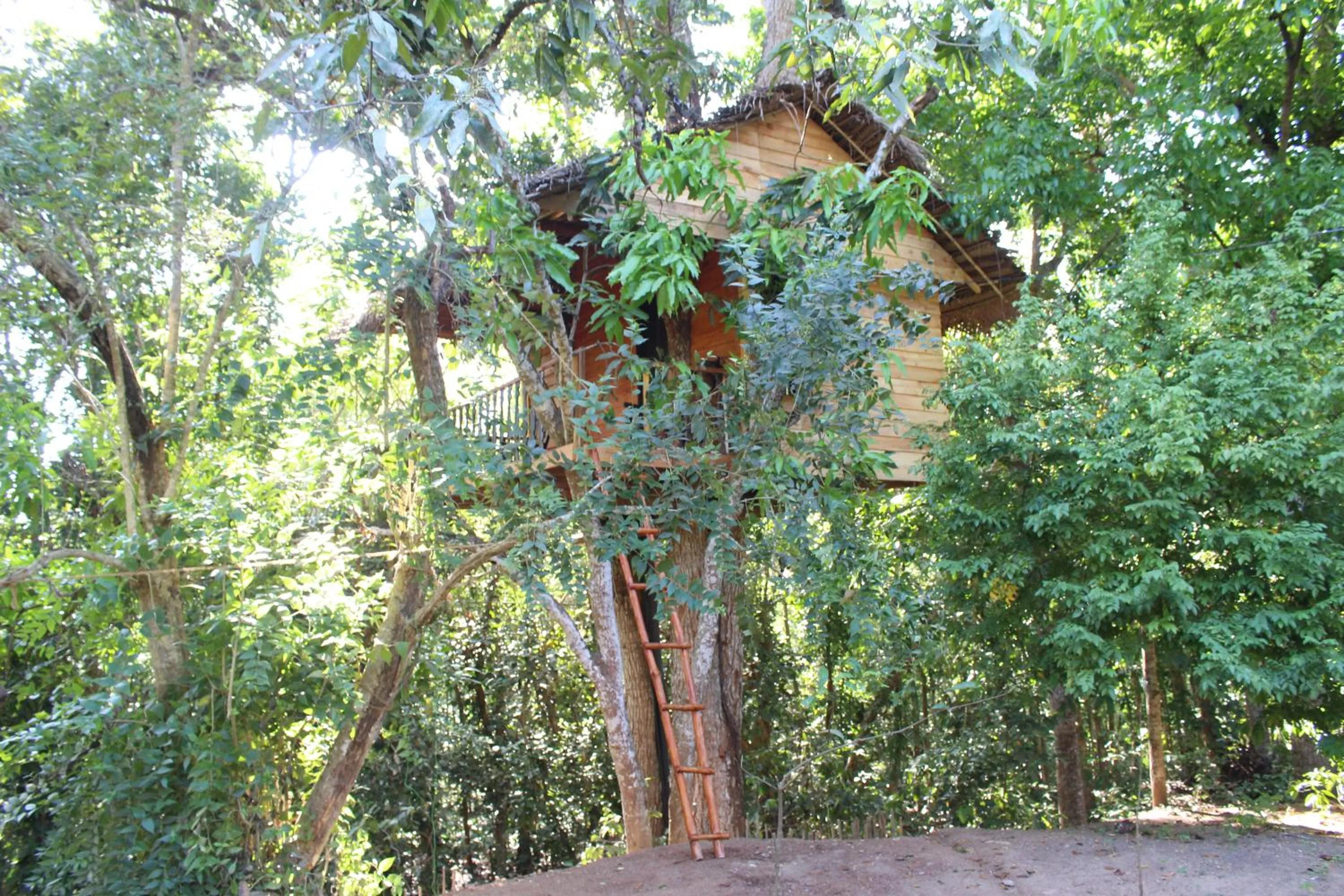 Chalet - single occupancy in Tree House-Midigama