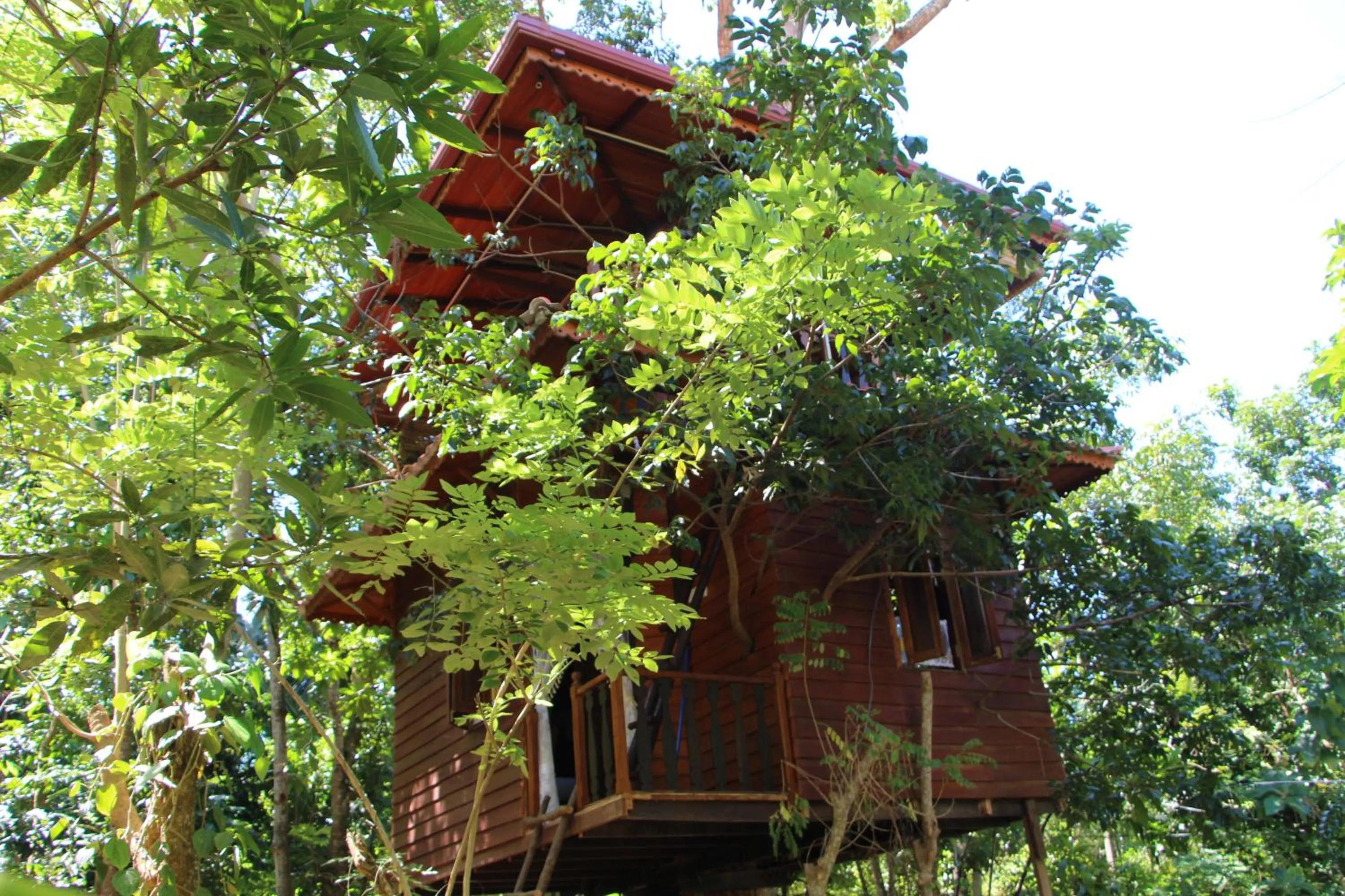 Tree House-Midigama