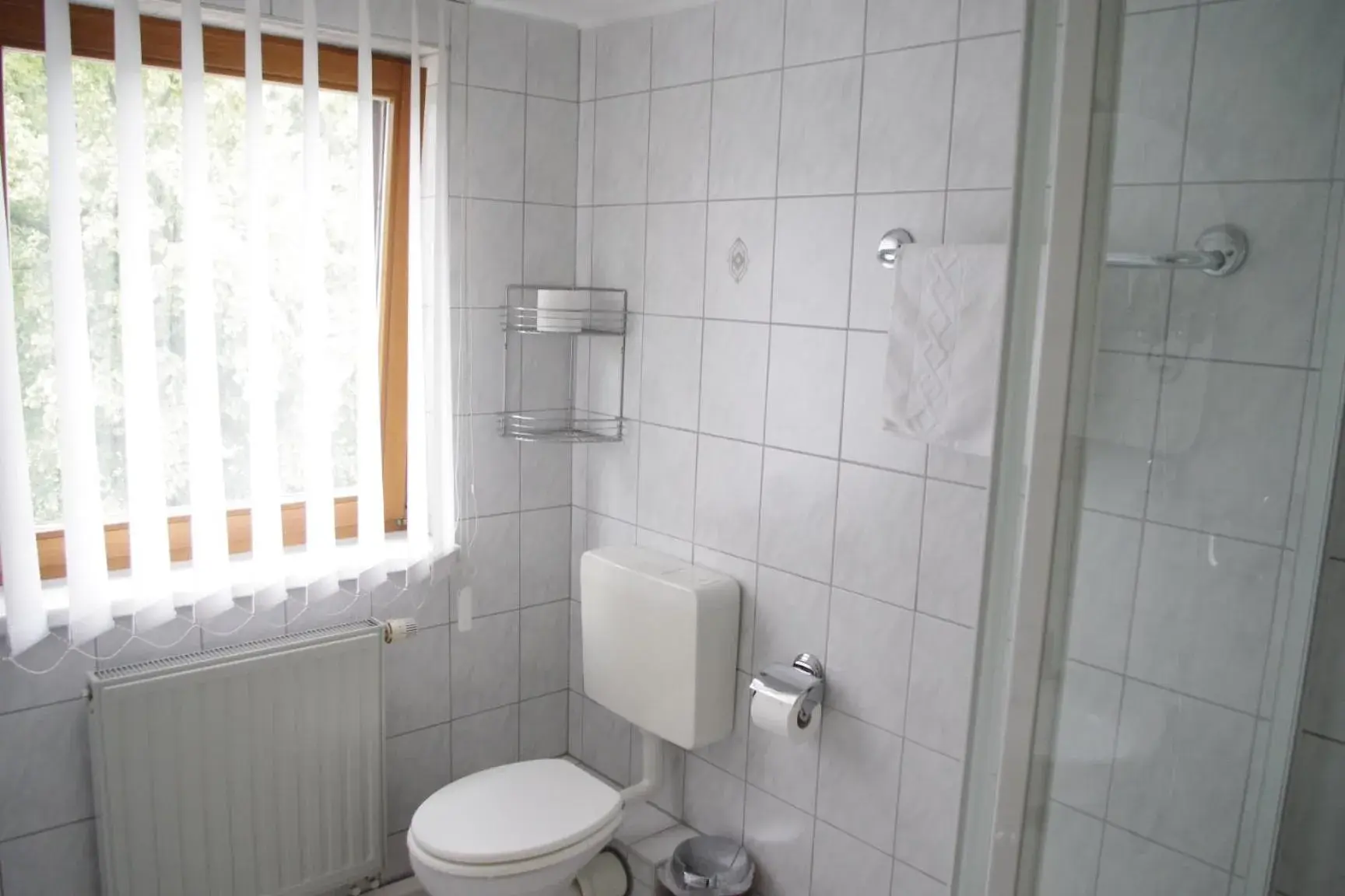 Single Room with Shower in Hotel Gasthof zum Walfisch Single Room with Shower in Hotel Gasthof zum Walfisch