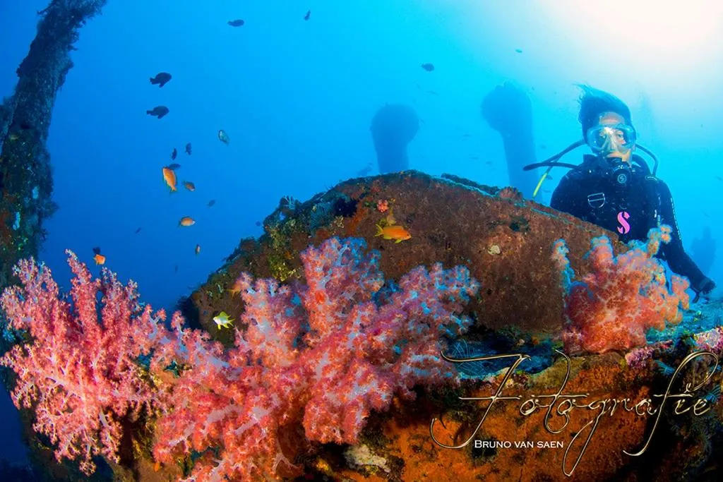 Diving in Relax Bali Dive & SPA ocean front resort
