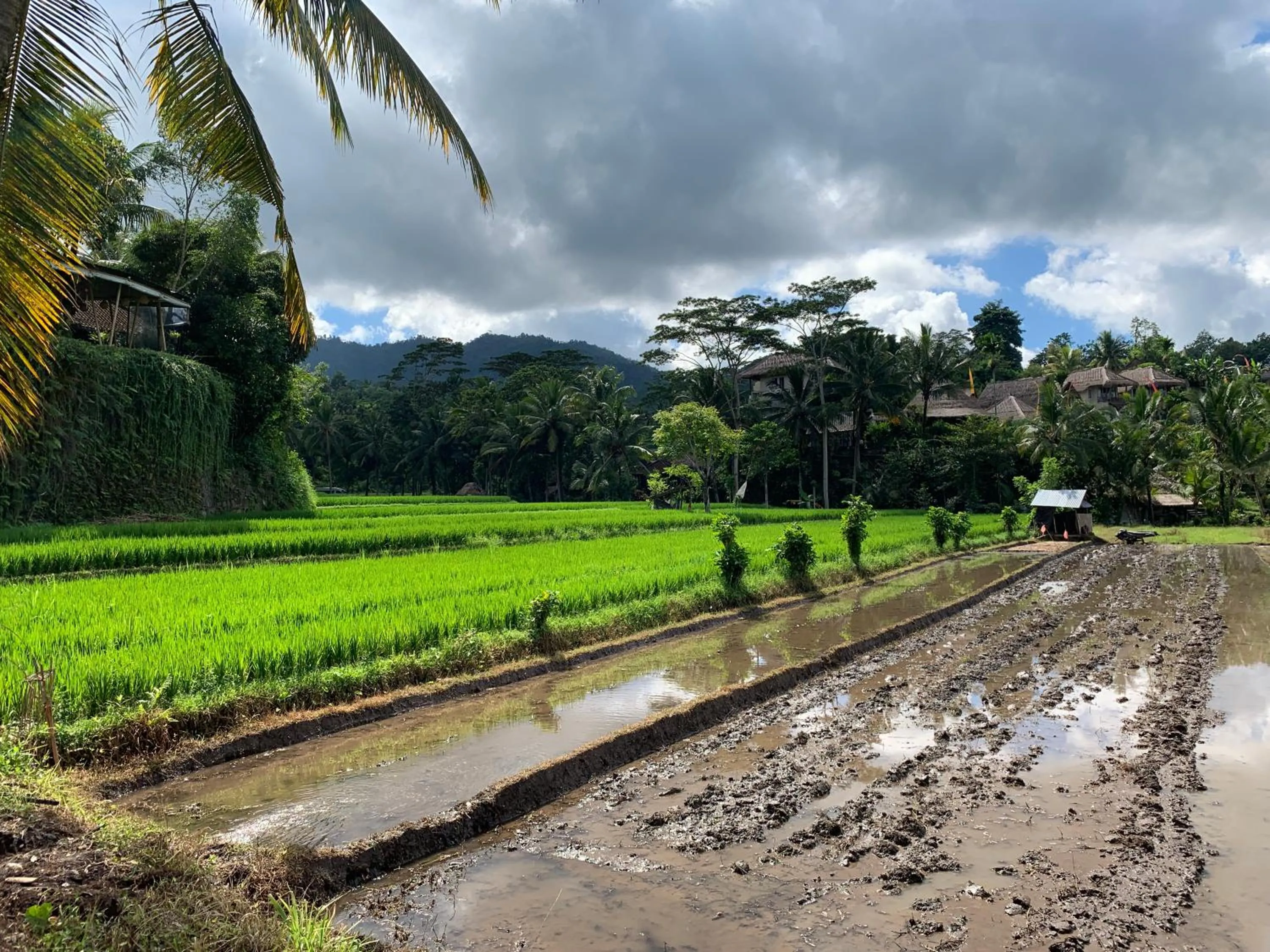 Entertainment in Relax Bali Dive & SPA ocean front resort