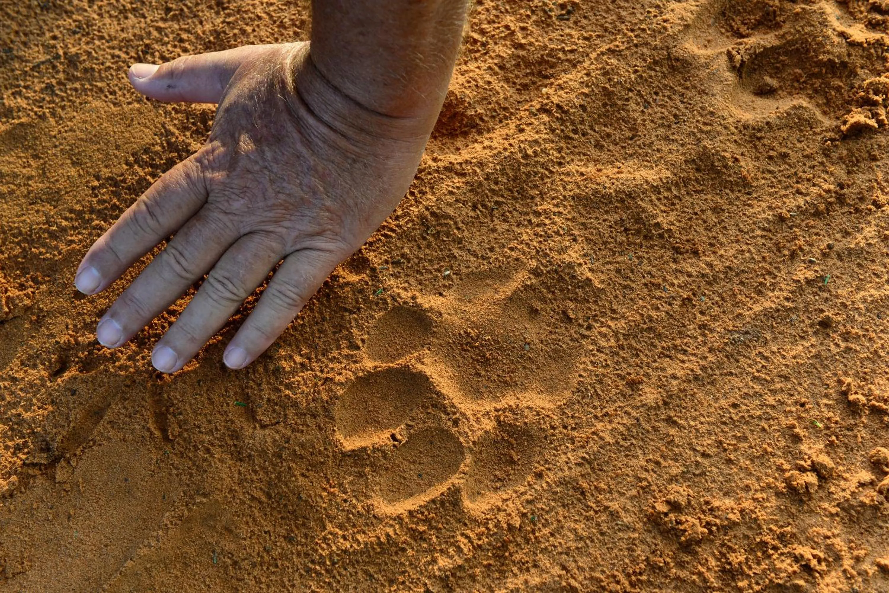 Activities in Victoria Falls River Lodge