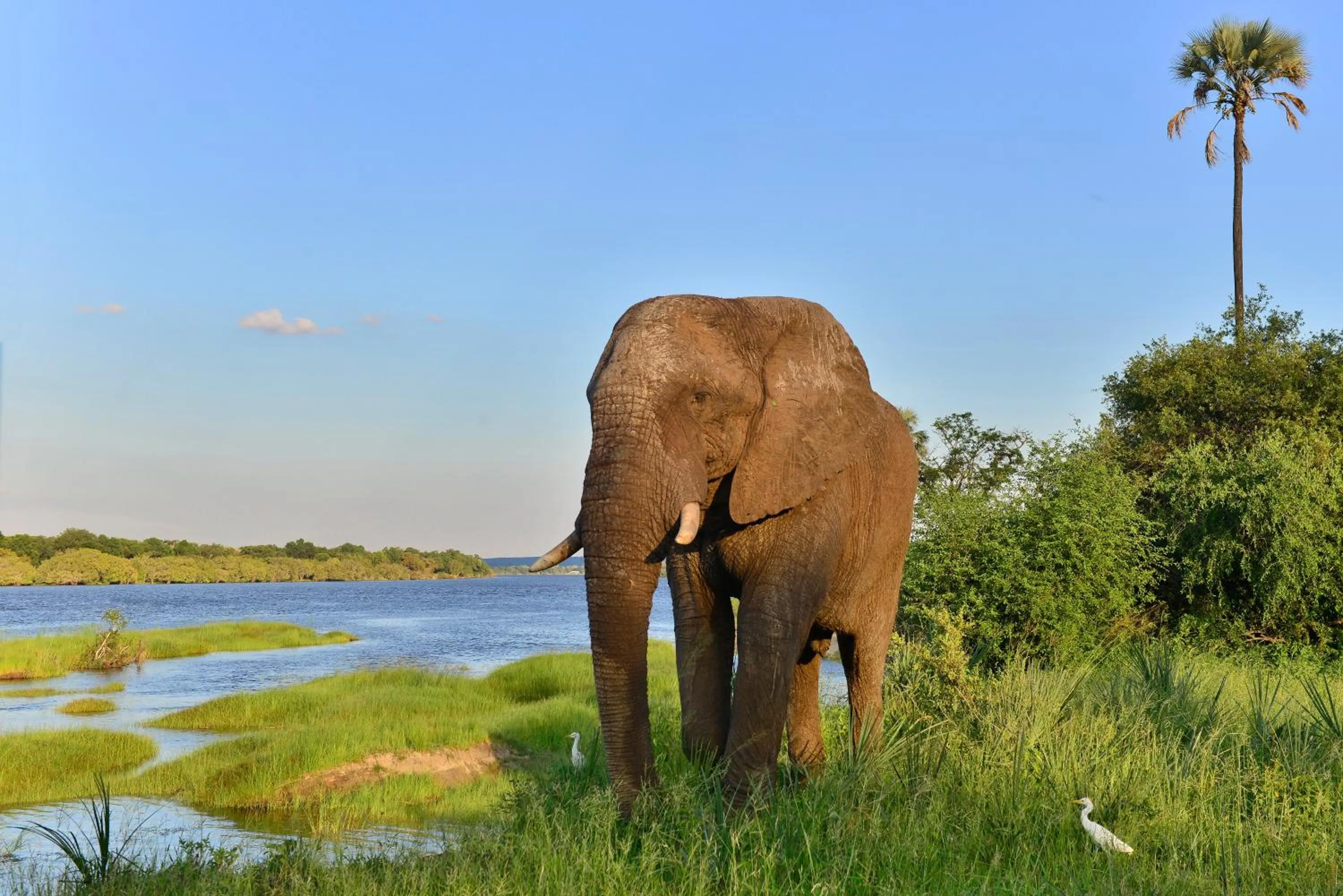 Activities in Victoria Falls River Lodge