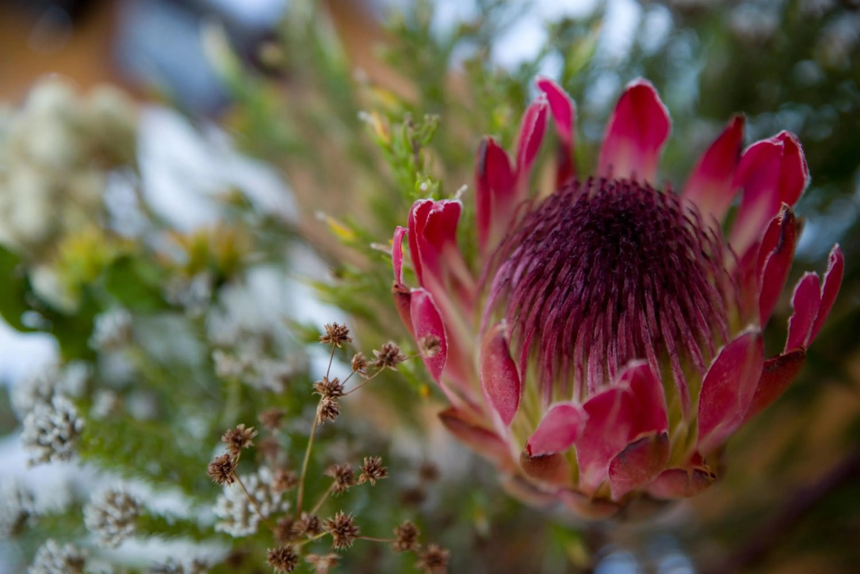 Natural landscape in Candlewood Lodge
