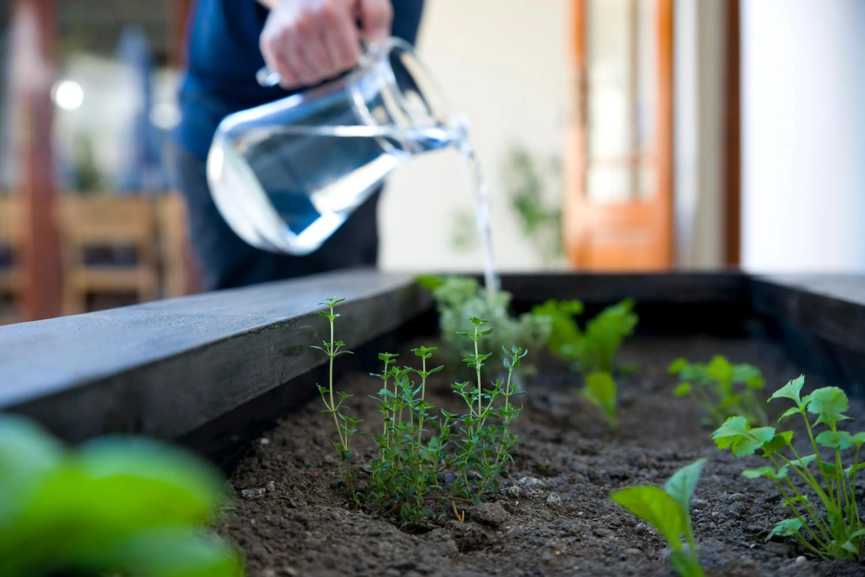 Food and drinks in Candlewood Lodge