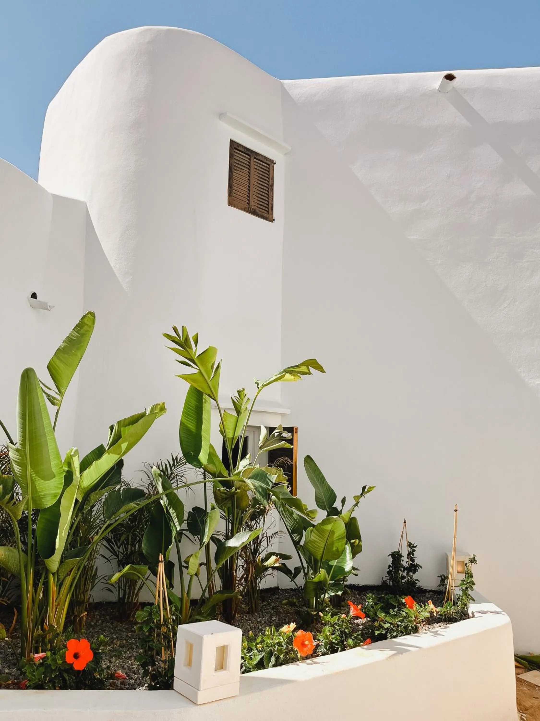 Property building in FERGUS Style Punta Arabi