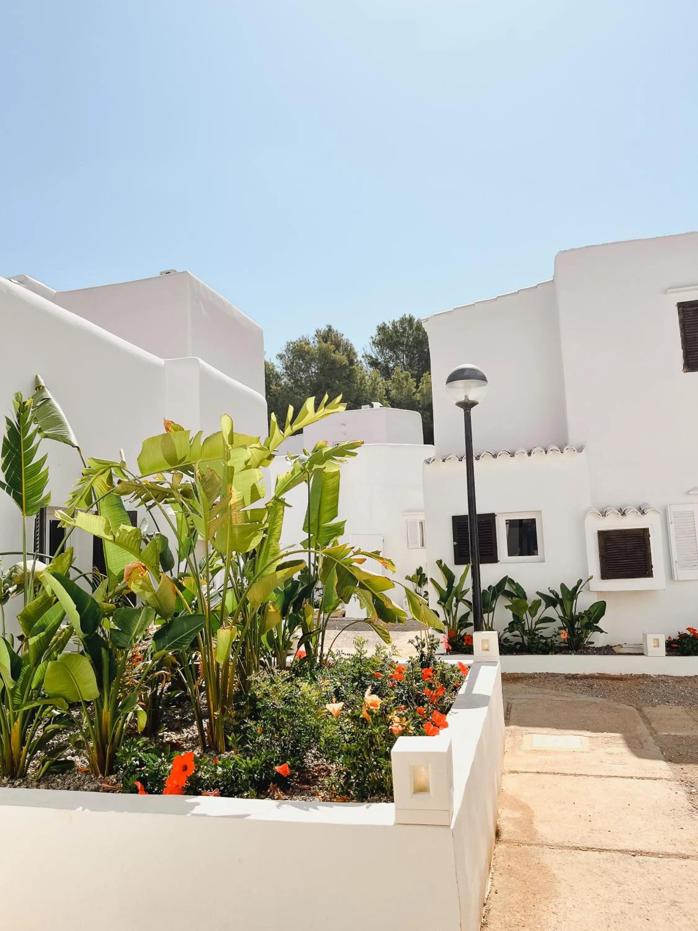 Property building in FERGUS Style Punta Arabi