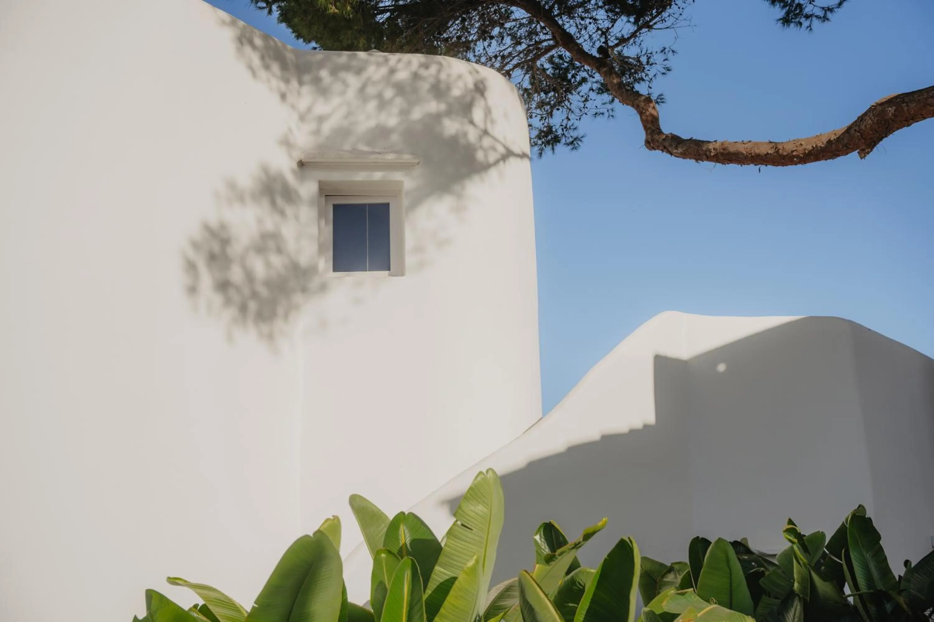 Property building in FERGUS Style Punta Arabi