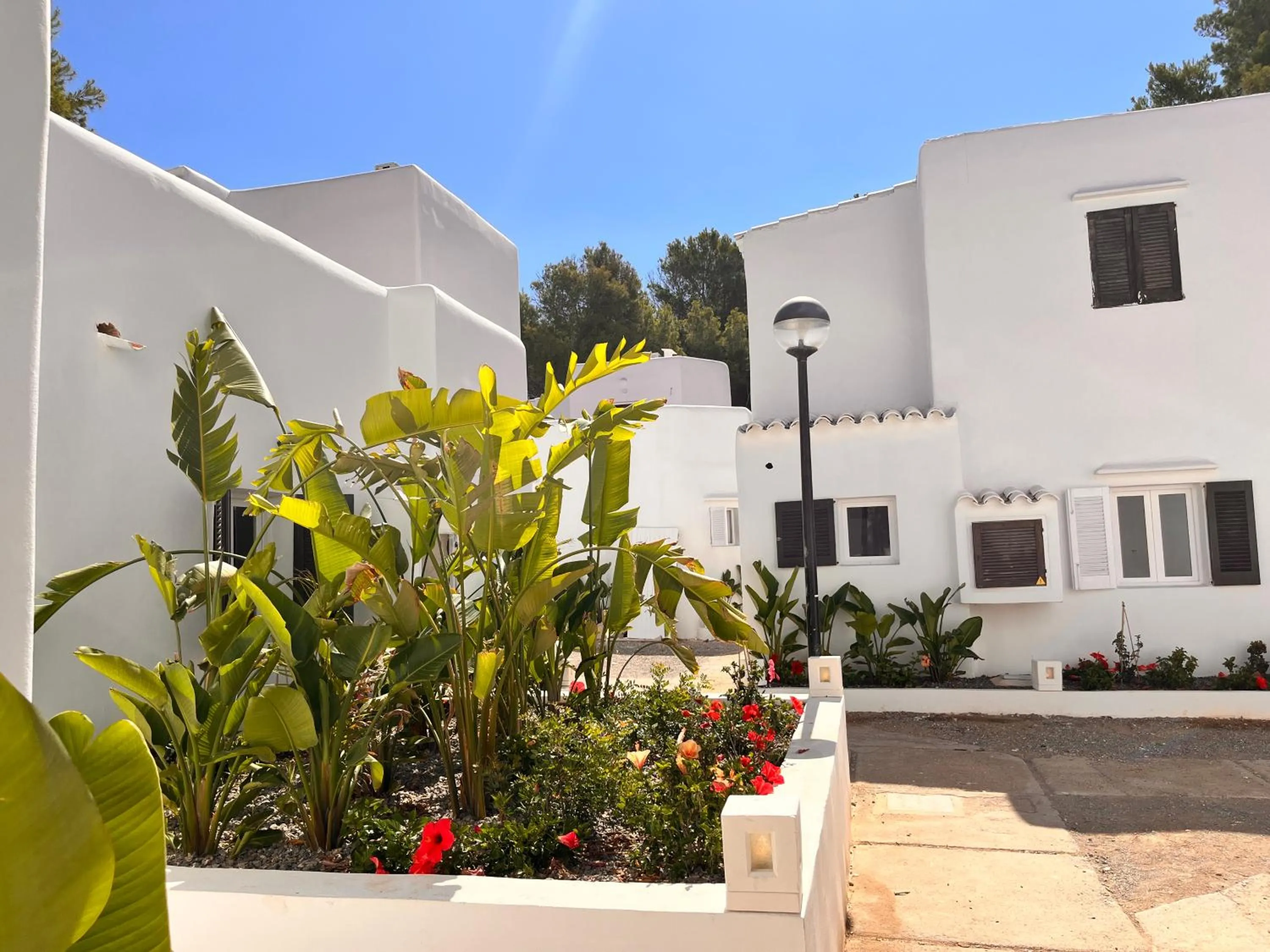 Property building in FERGUS Style Punta Arabi