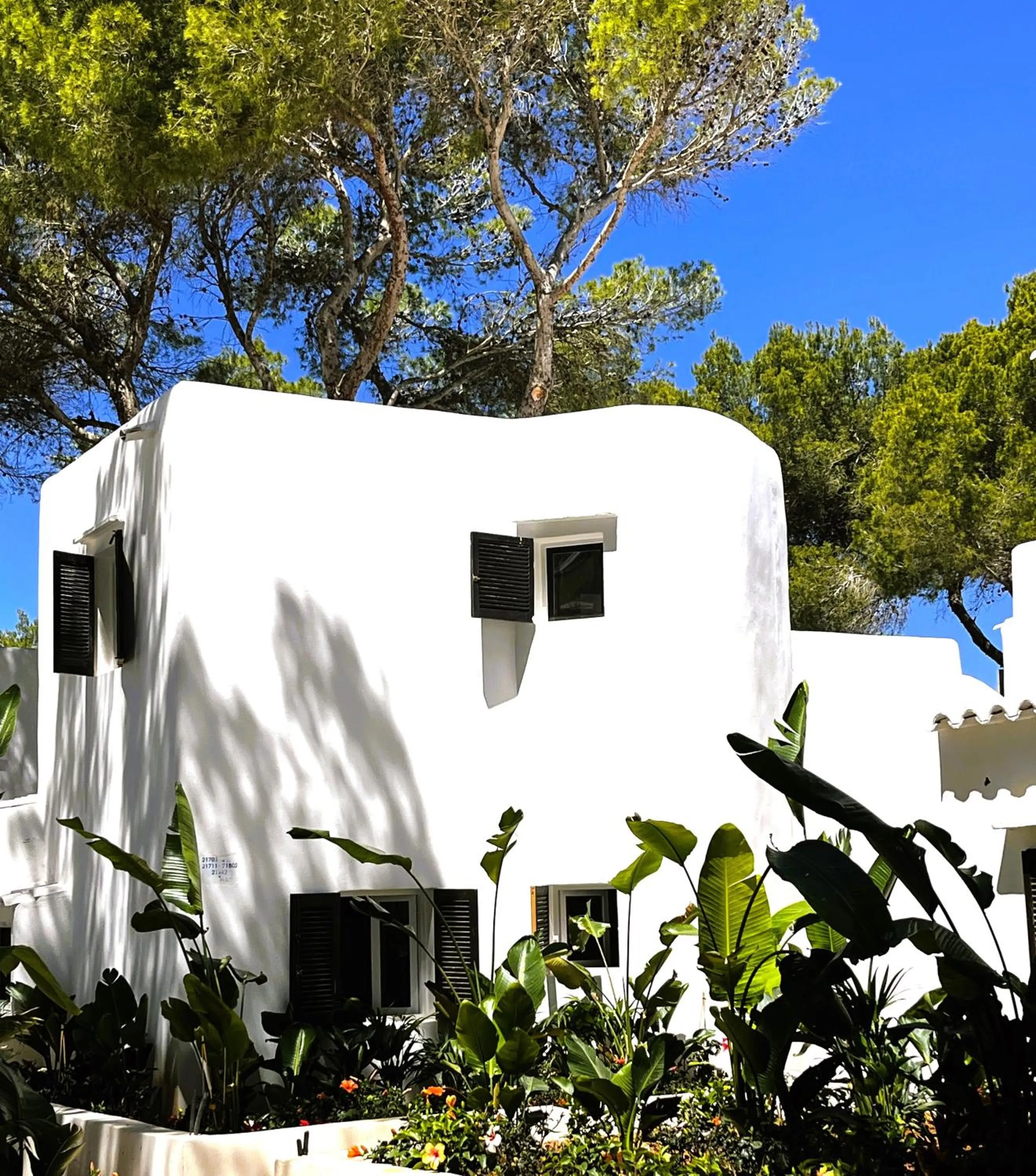 Property building in FERGUS Style Punta Arabi