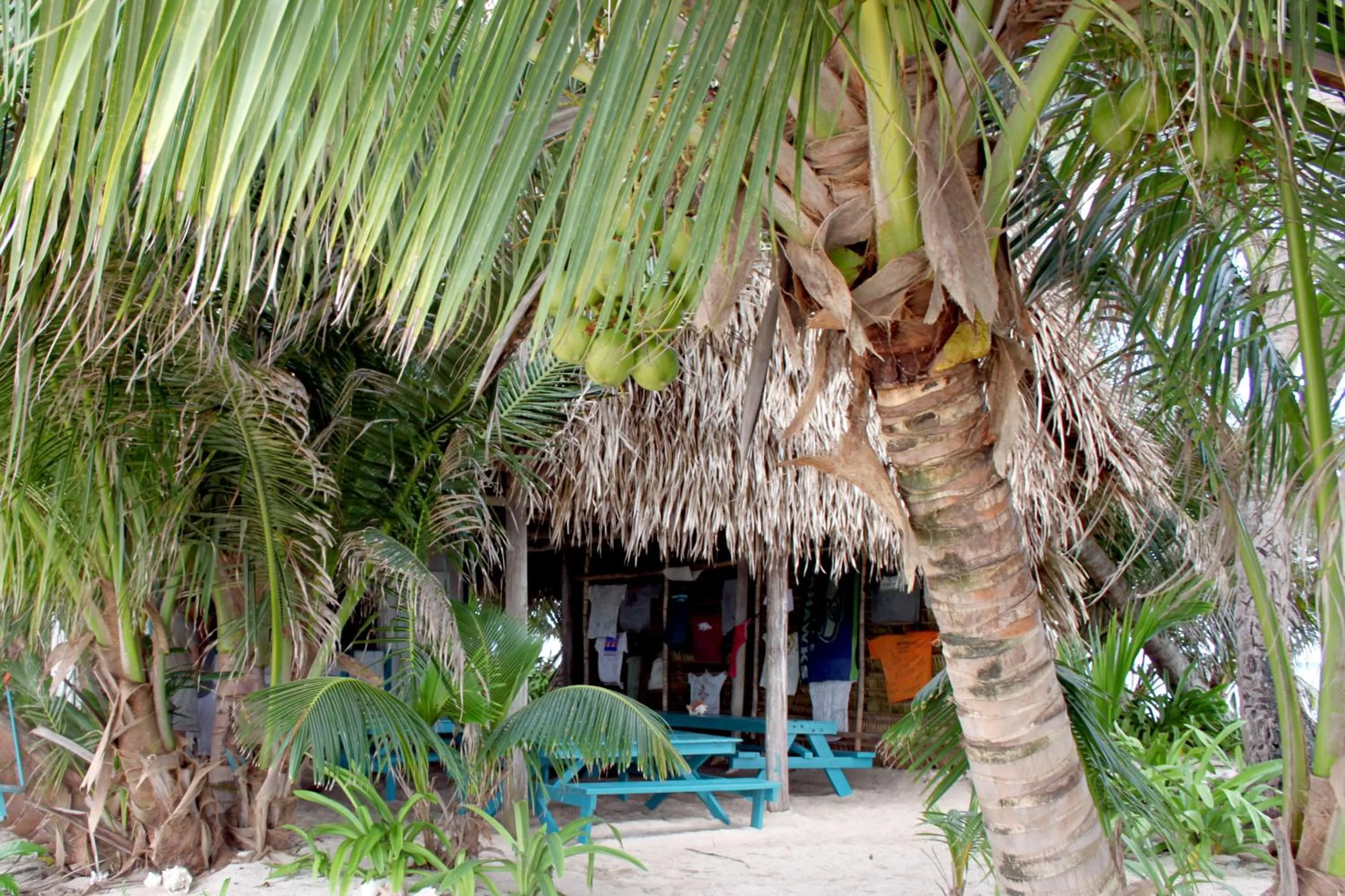 Patio in Ranguana Caye Cabanas