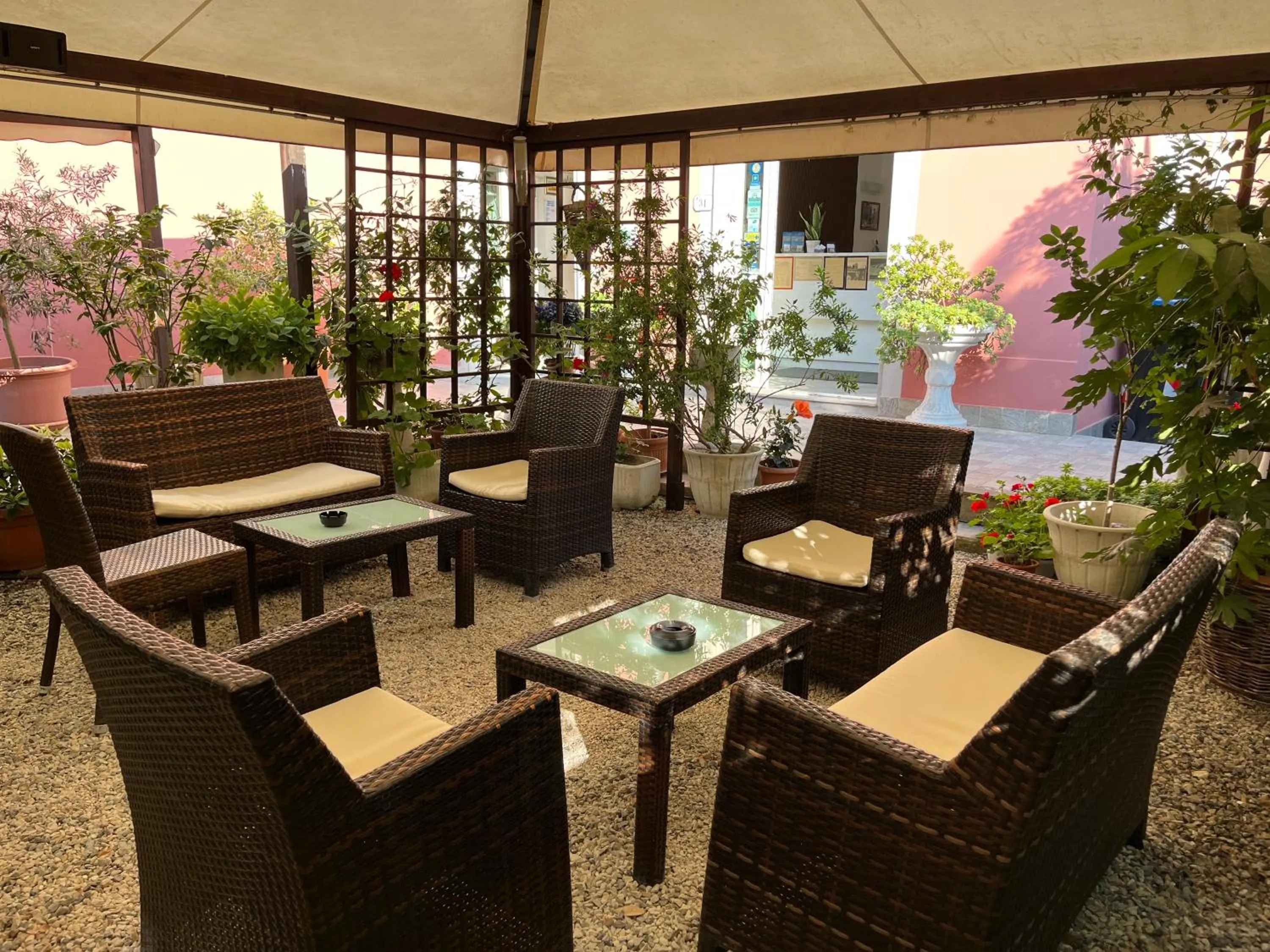 Garden in Hotel Ellymar