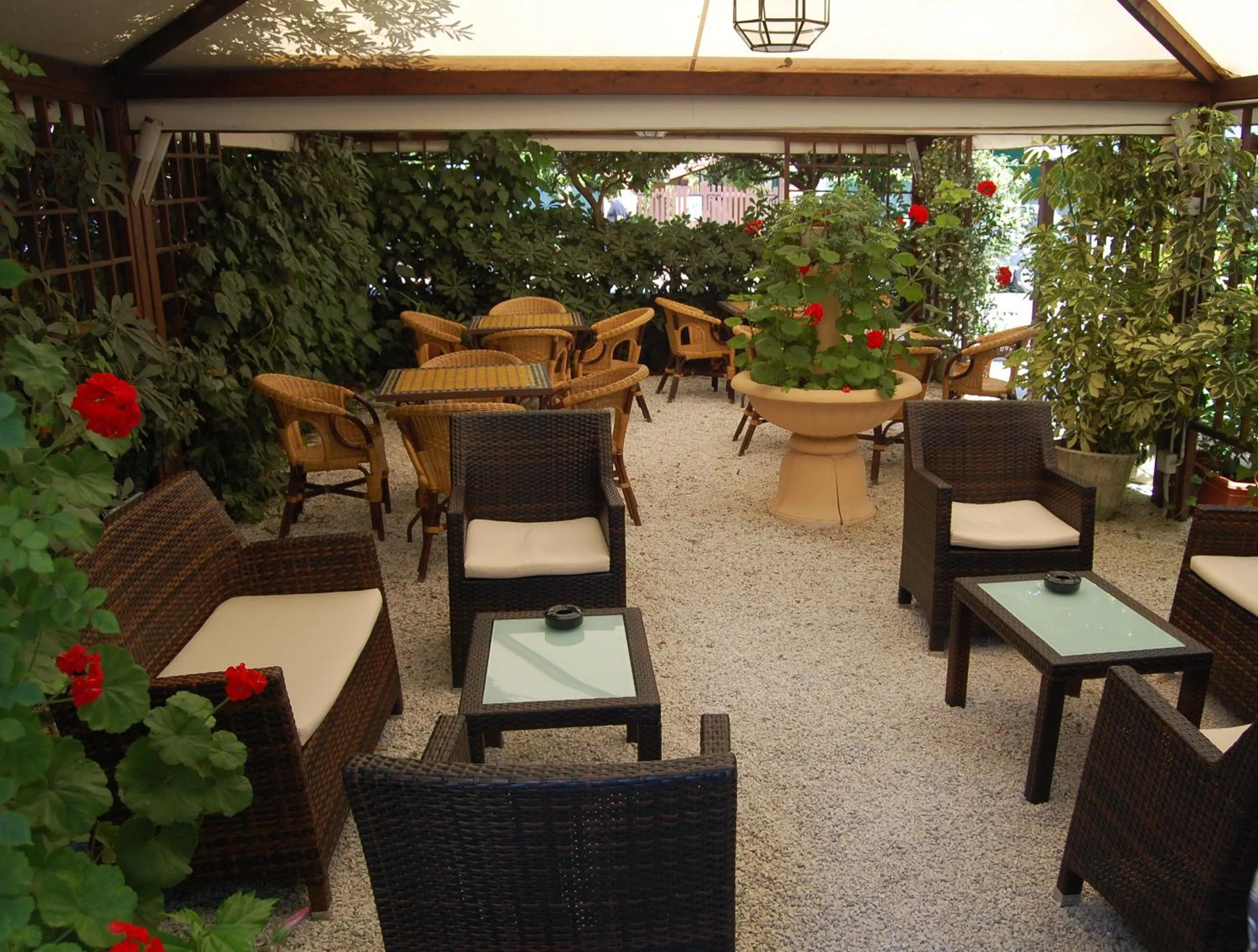 Garden in Hotel Ellymar