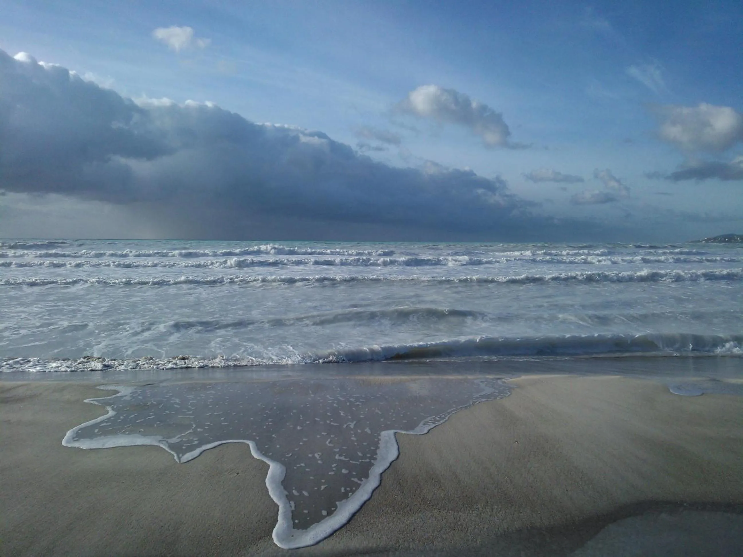 Beach in Hotel Ellymar