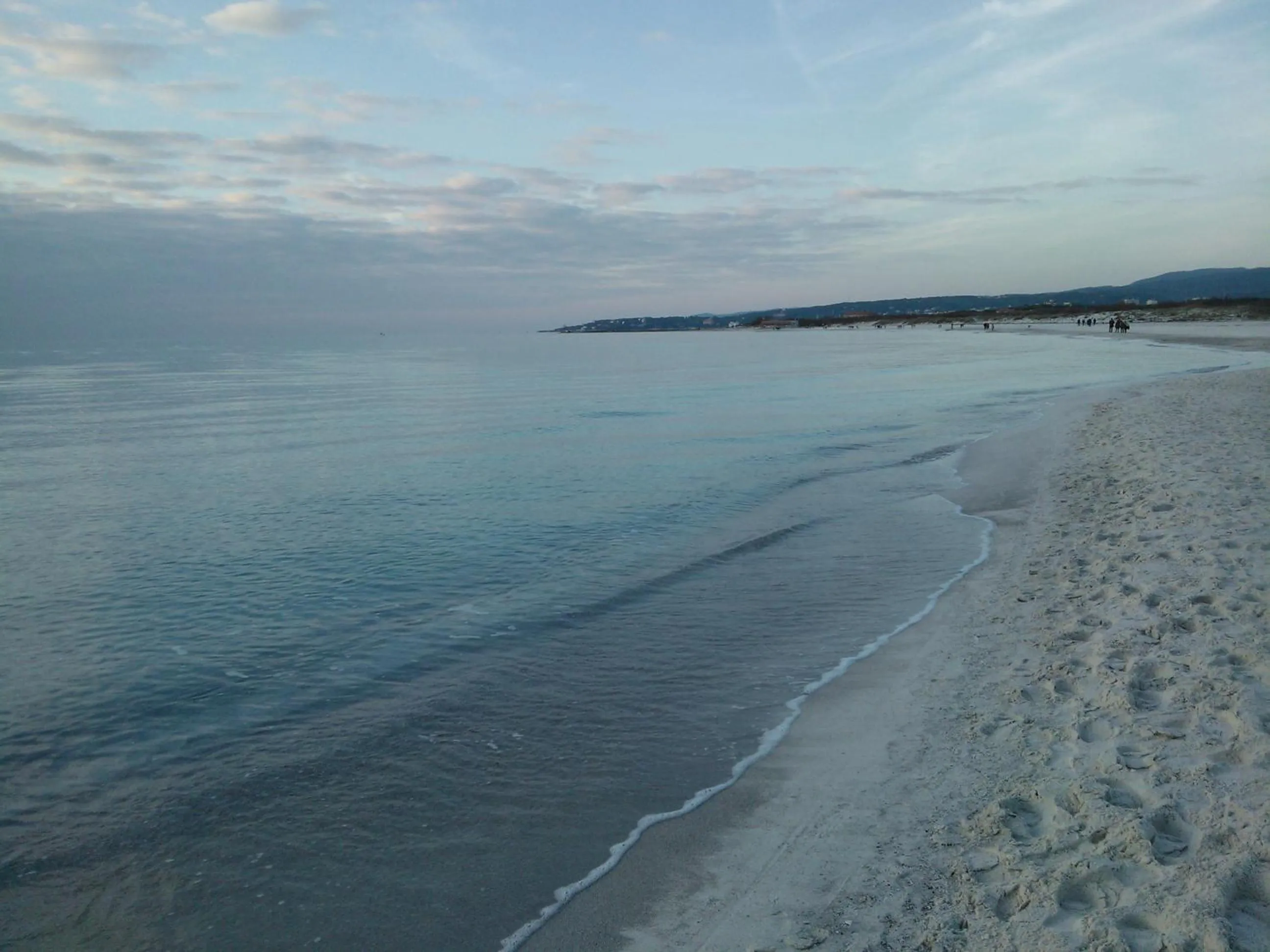 Beach in Hotel Ellymar