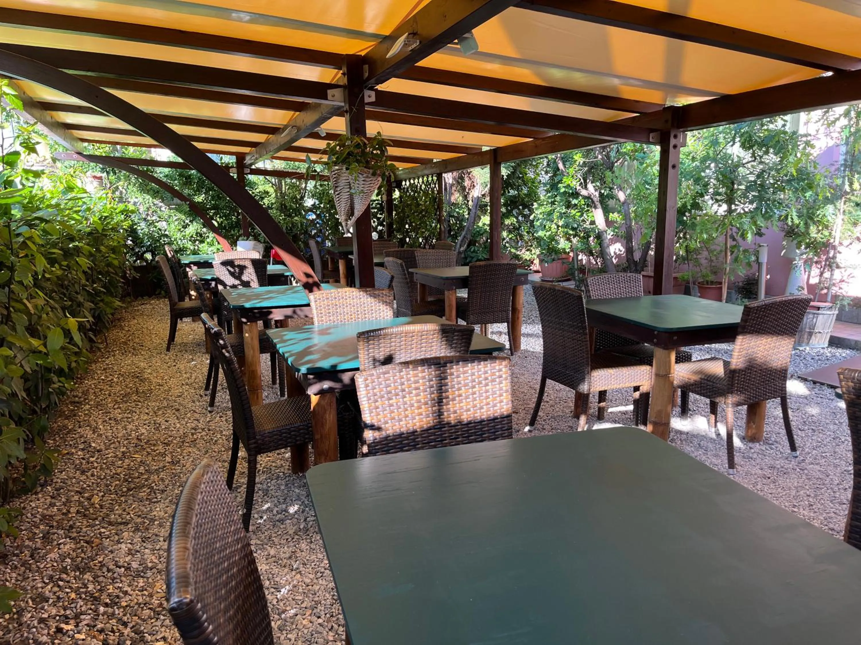 Garden in Hotel Ellymar