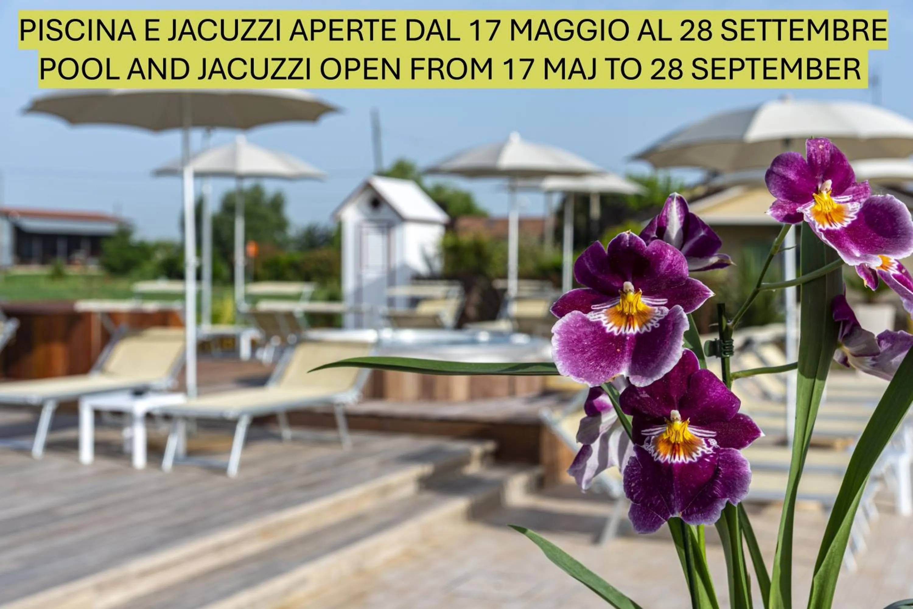 Swimming pool in Agriturismo B&B Vista Parco