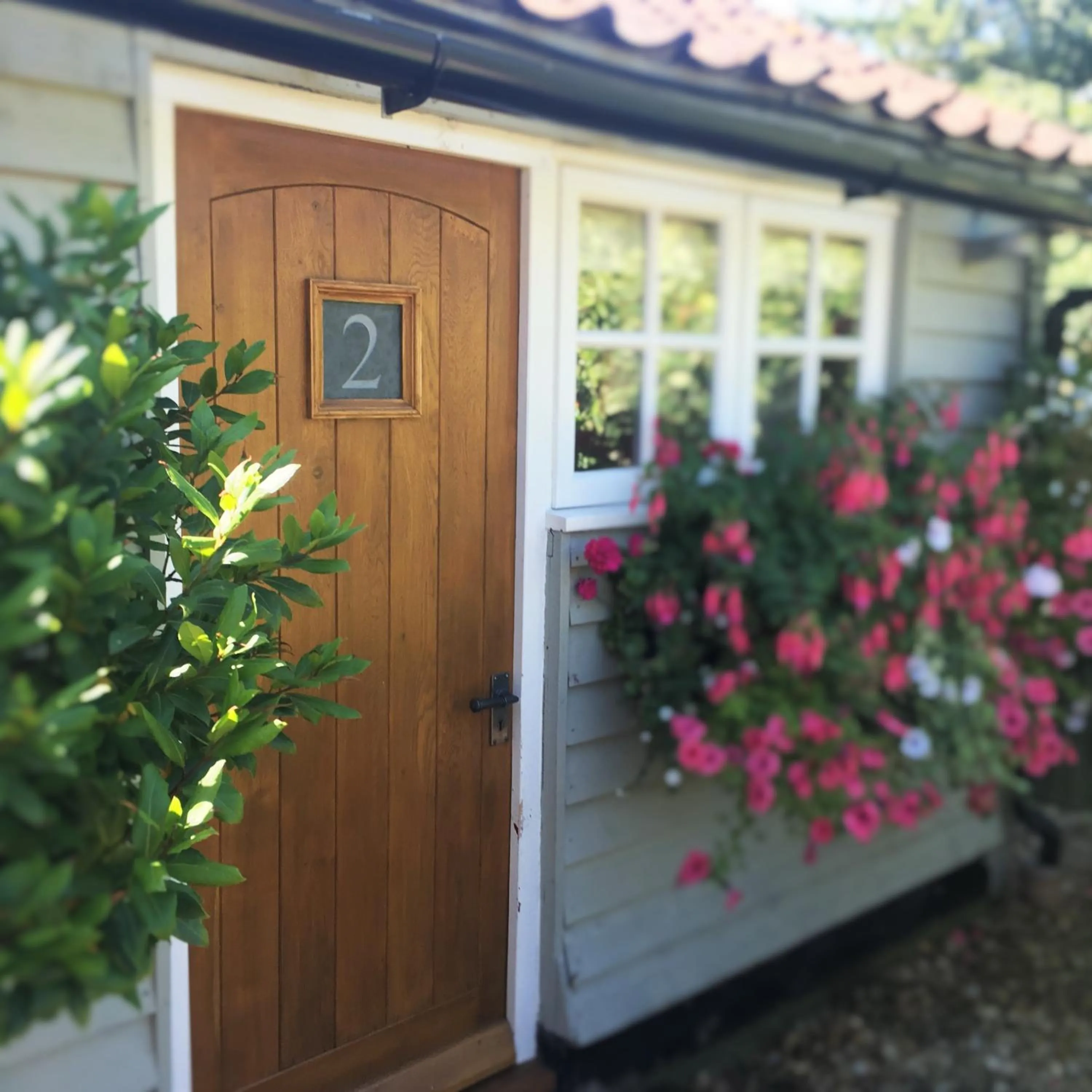 Patio in The Black Horse at Ireland