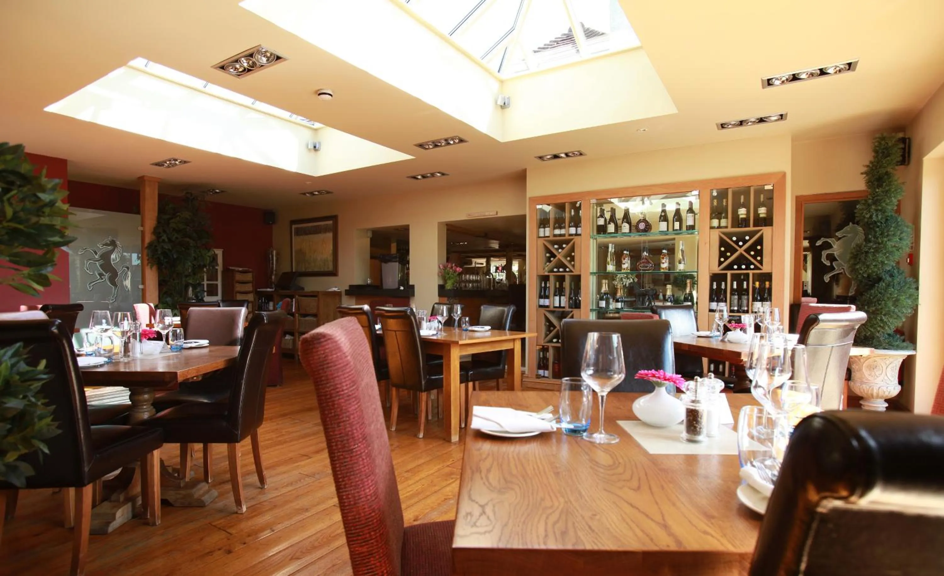 Day in The Black Horse at Ireland