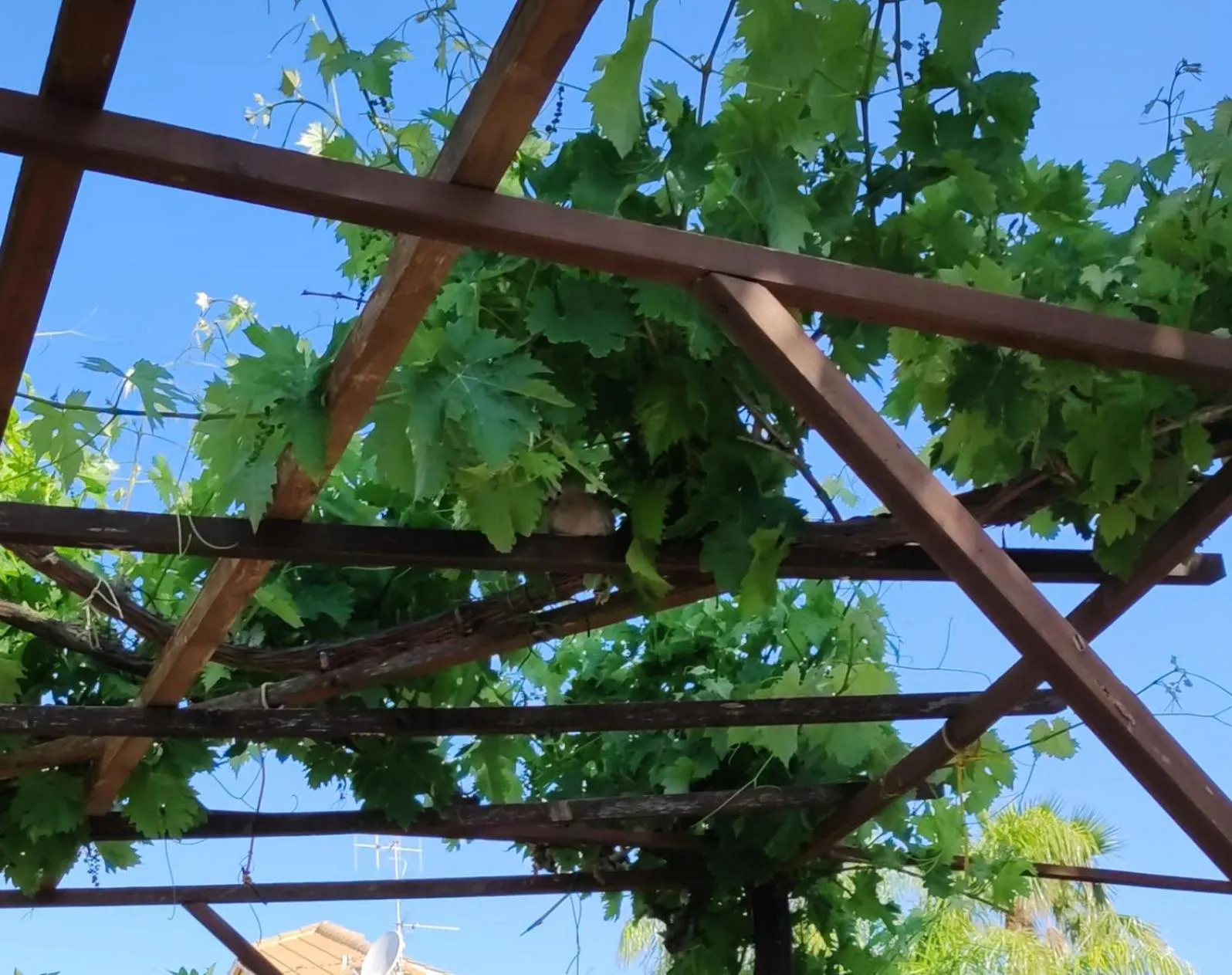 Property building in B&B Le Macine 1868