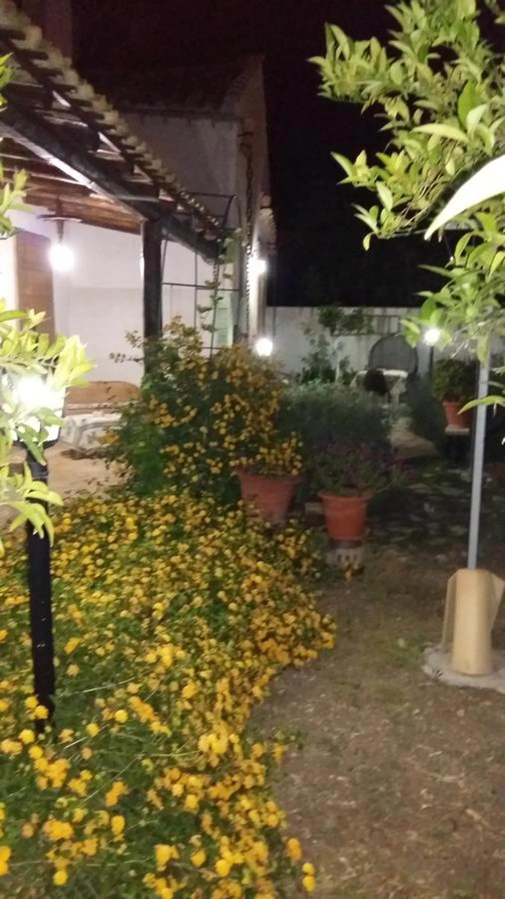 Garden in B&B Le Macine 1868