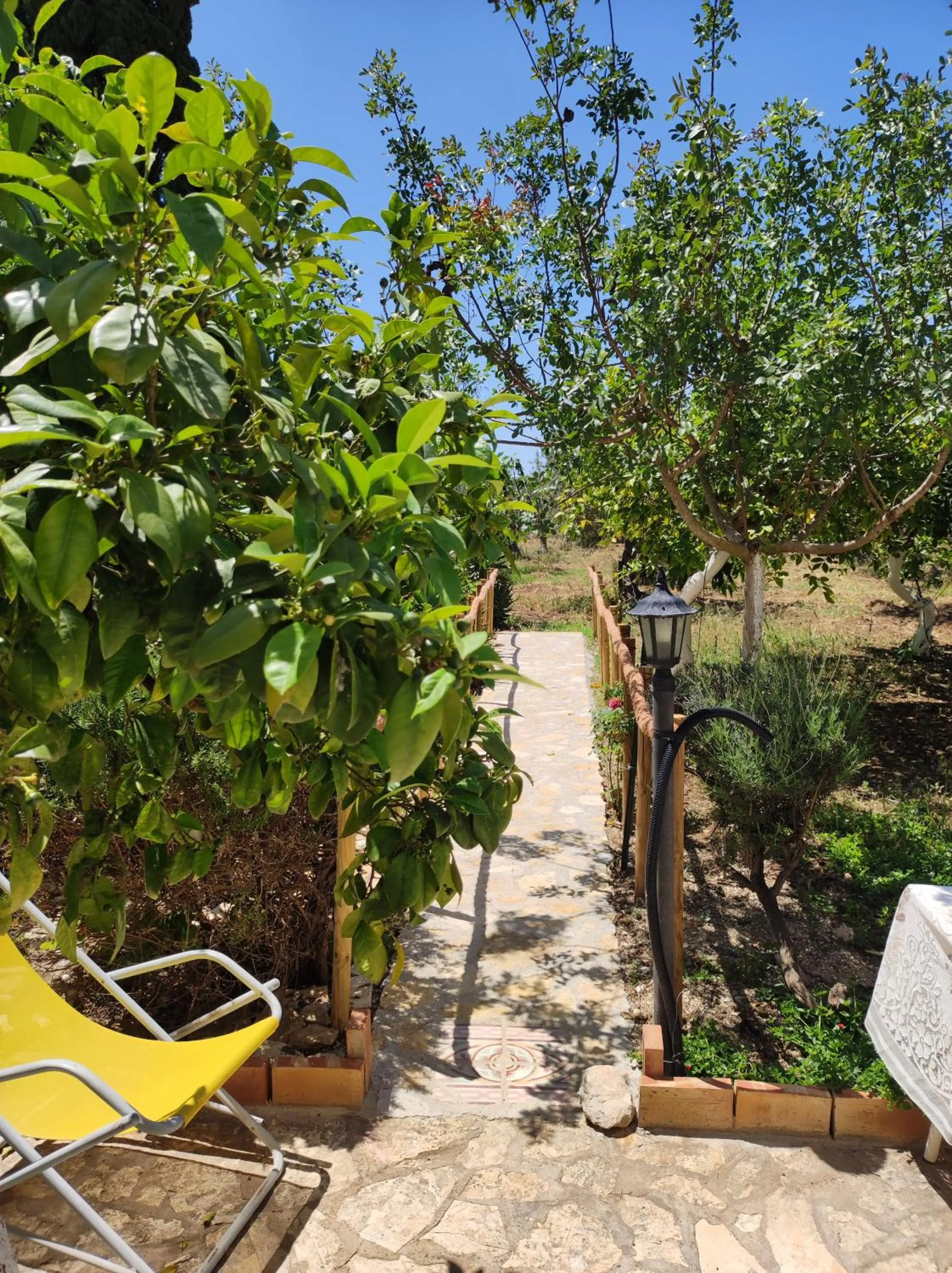 Garden in B&B Le Macine 1868