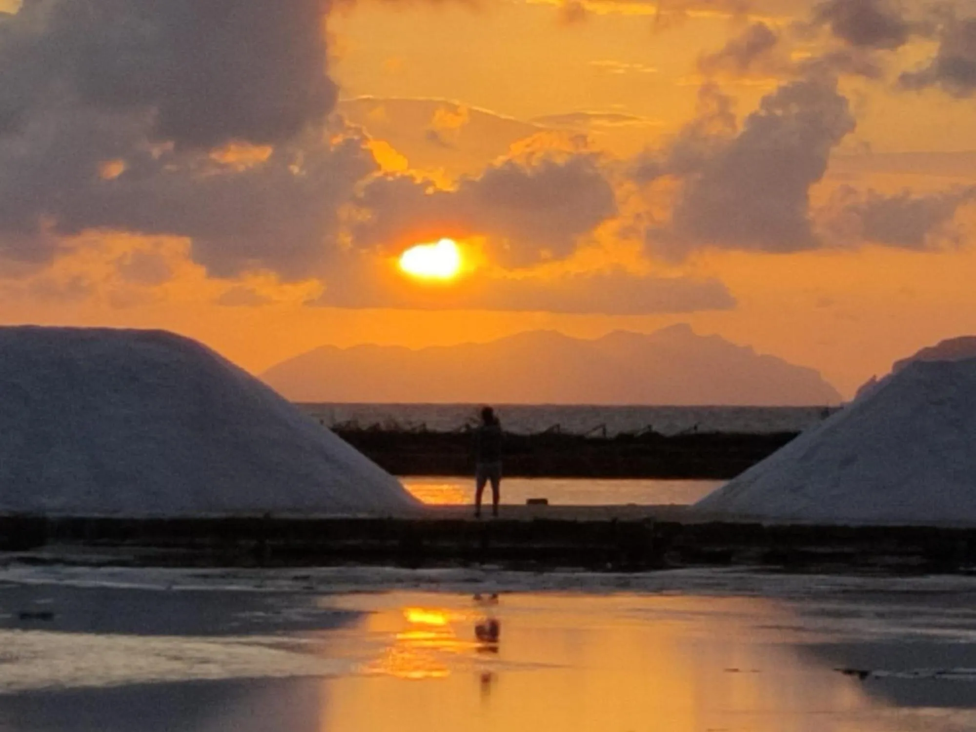 Natural landscape in B&B Le Macine 1868