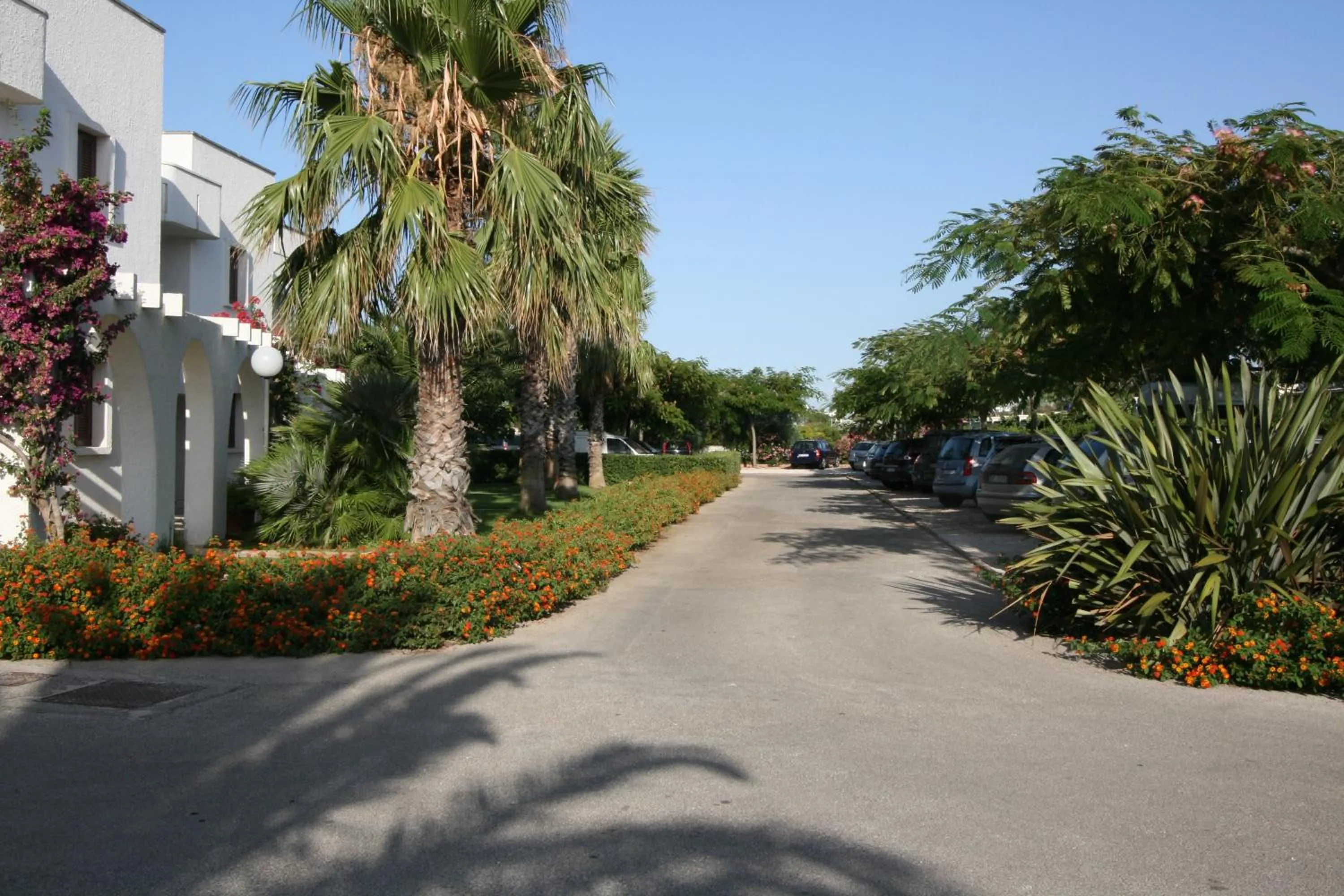 Day in Residence Club Barbara