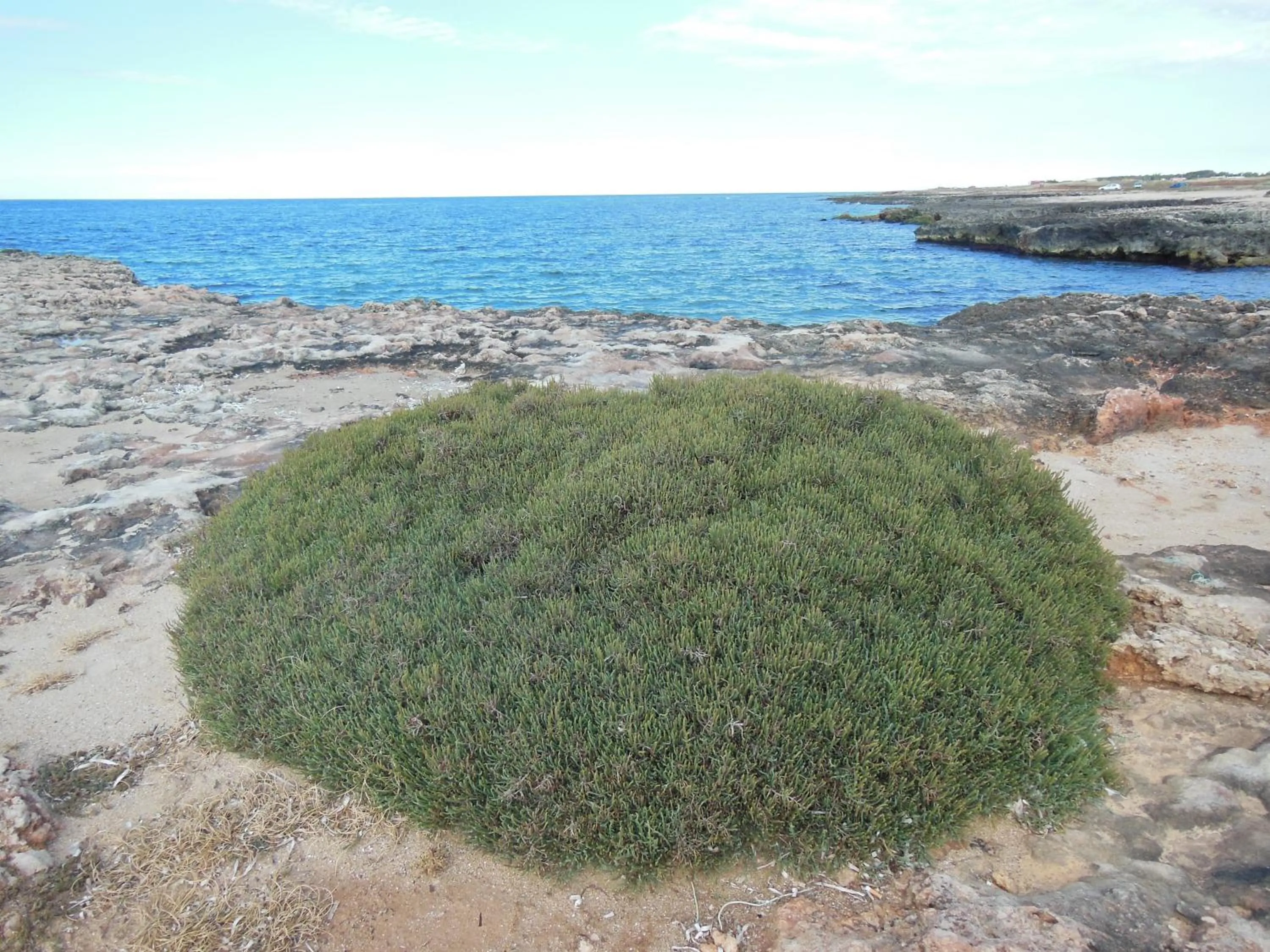 Area and facilities in Residence Club Barbara